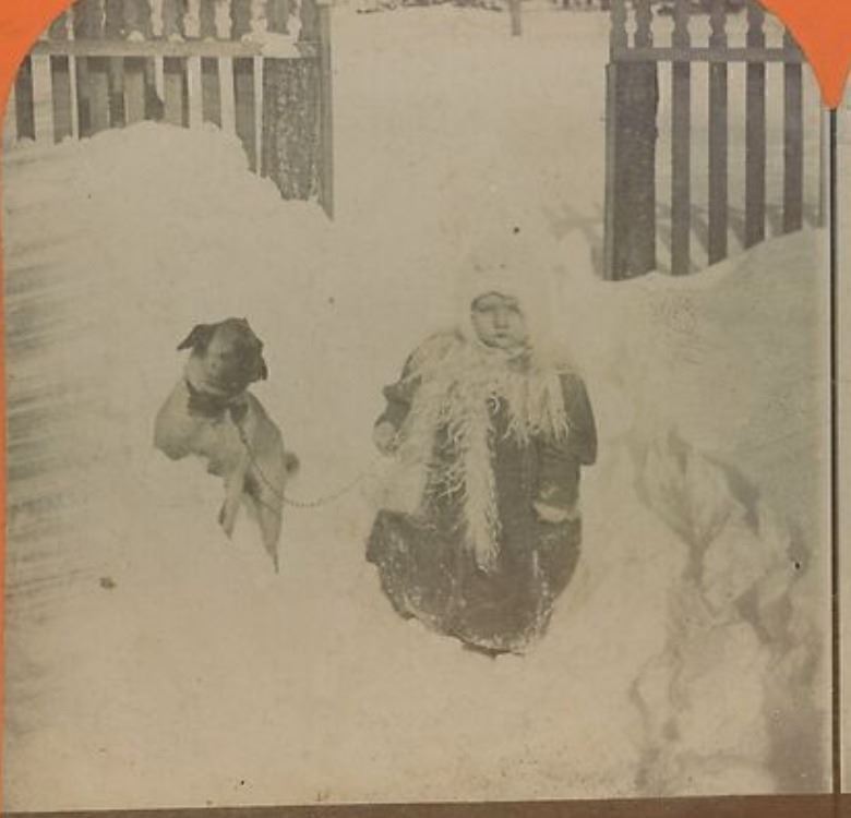 1890s Young Child Heavily Dressed in Deep Snow with Bulldog Stereoview 9-16