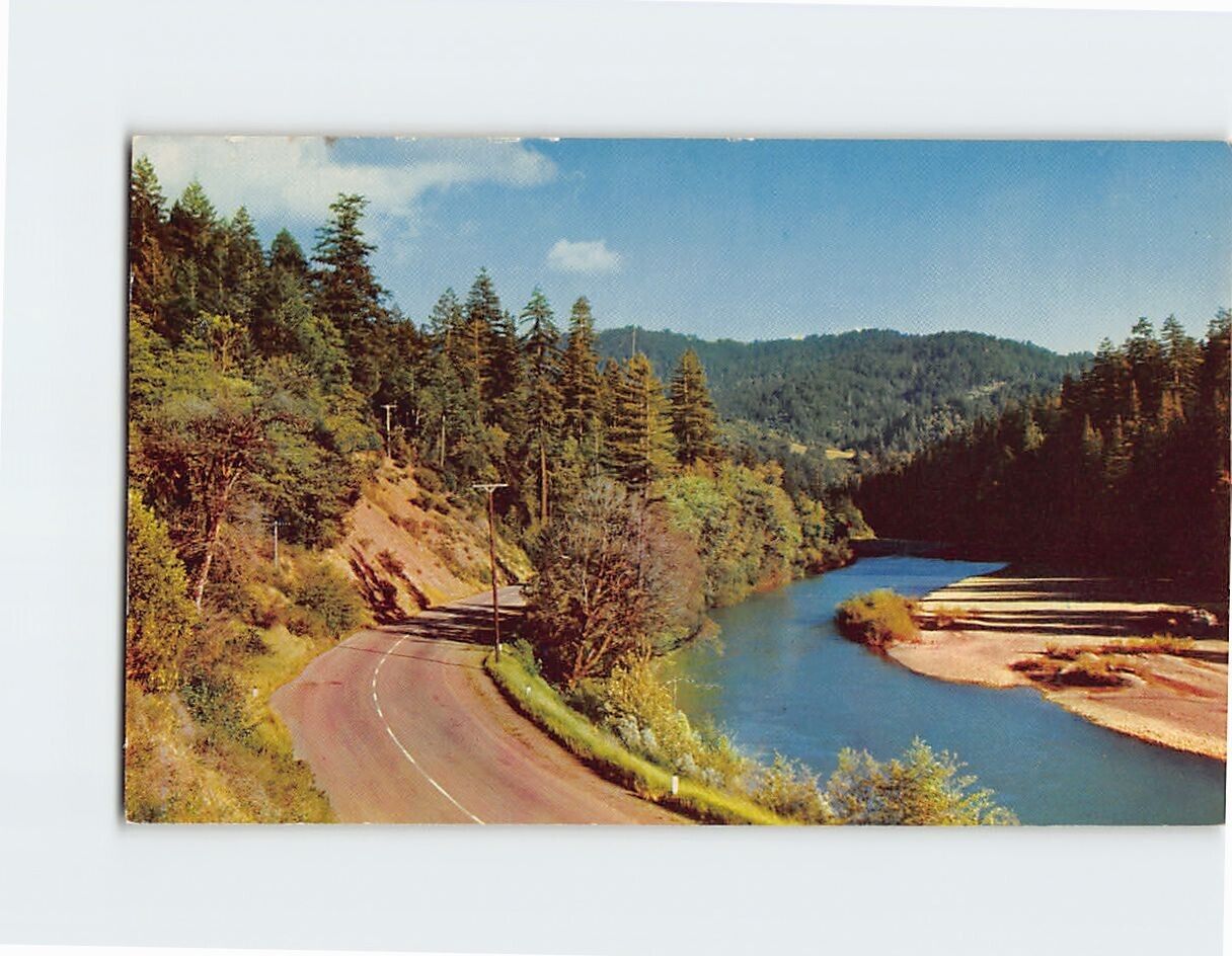 Postcard Curve in the Road & a Hillside Nature Scene