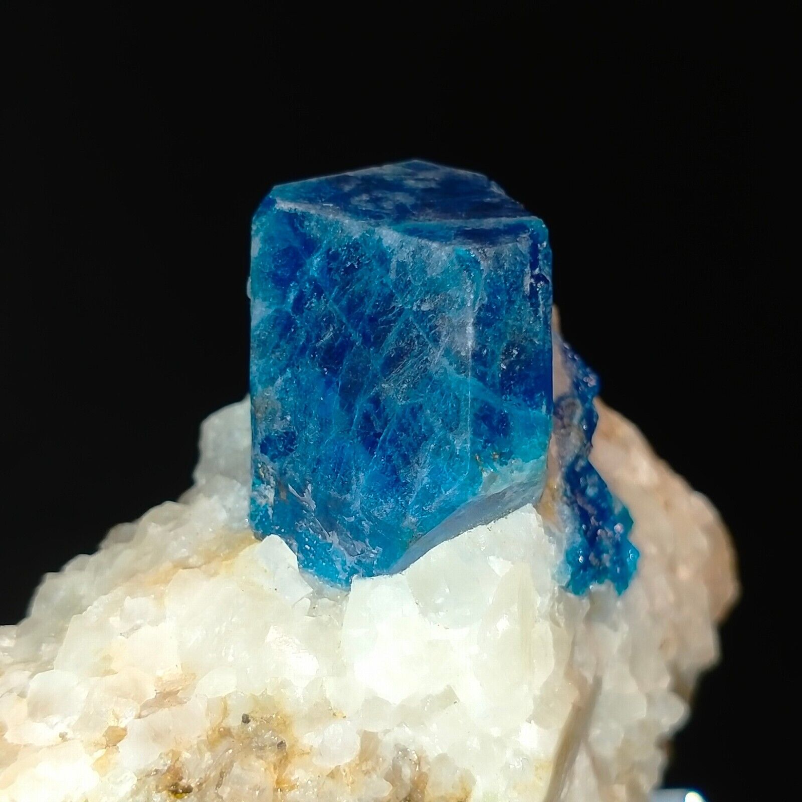UV reactive blue Sodalite terminated crystal on matrix 311ct Australian Stock