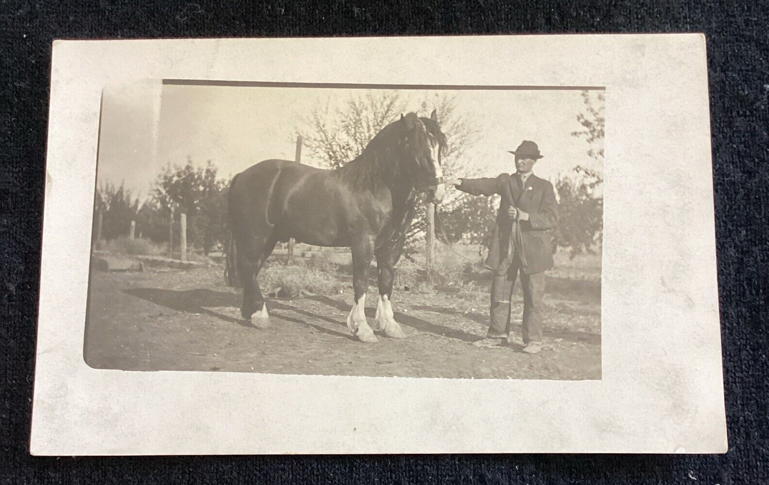 RPPC Real Photo Postcard Vintage Antique Man With Horse  Flaws