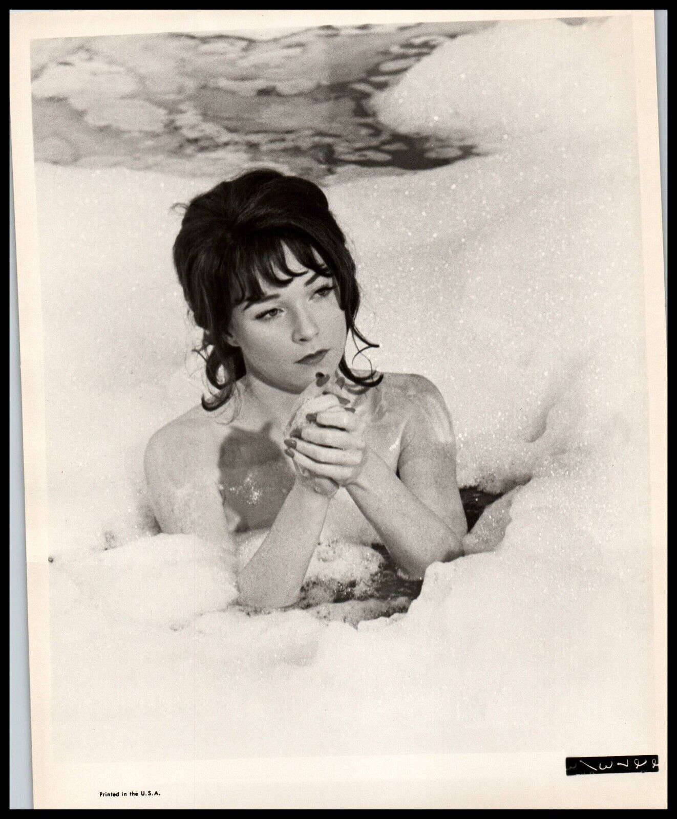 Hollywood Beauty SHIRLEY MACLAINE CHEESECAKE PORTRAIT 1950 SWIMSUIT Photo 741