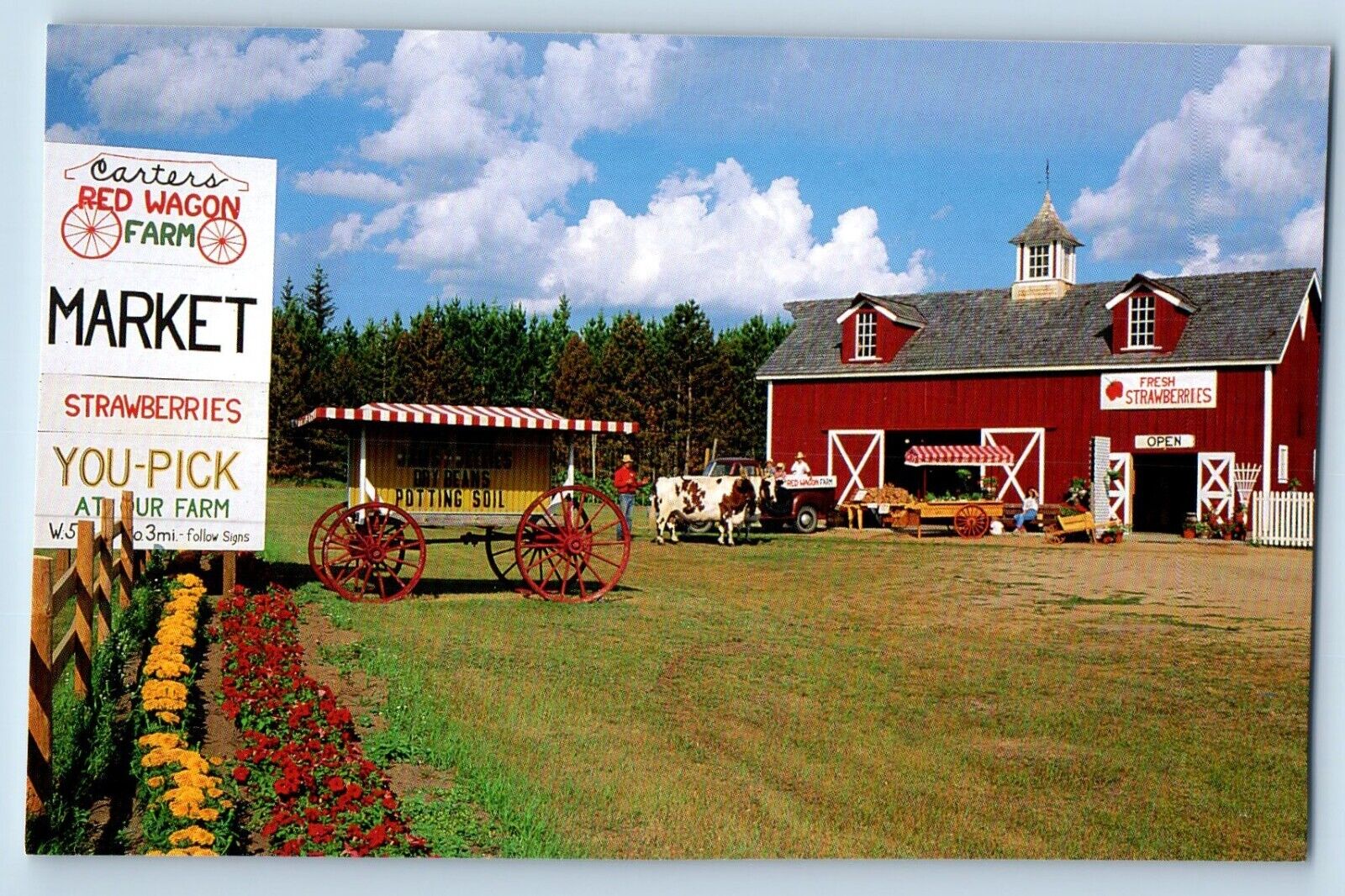 Park Rapids Minnesota Postcard Carter Red Wagon Farm Market Exterior View 1960