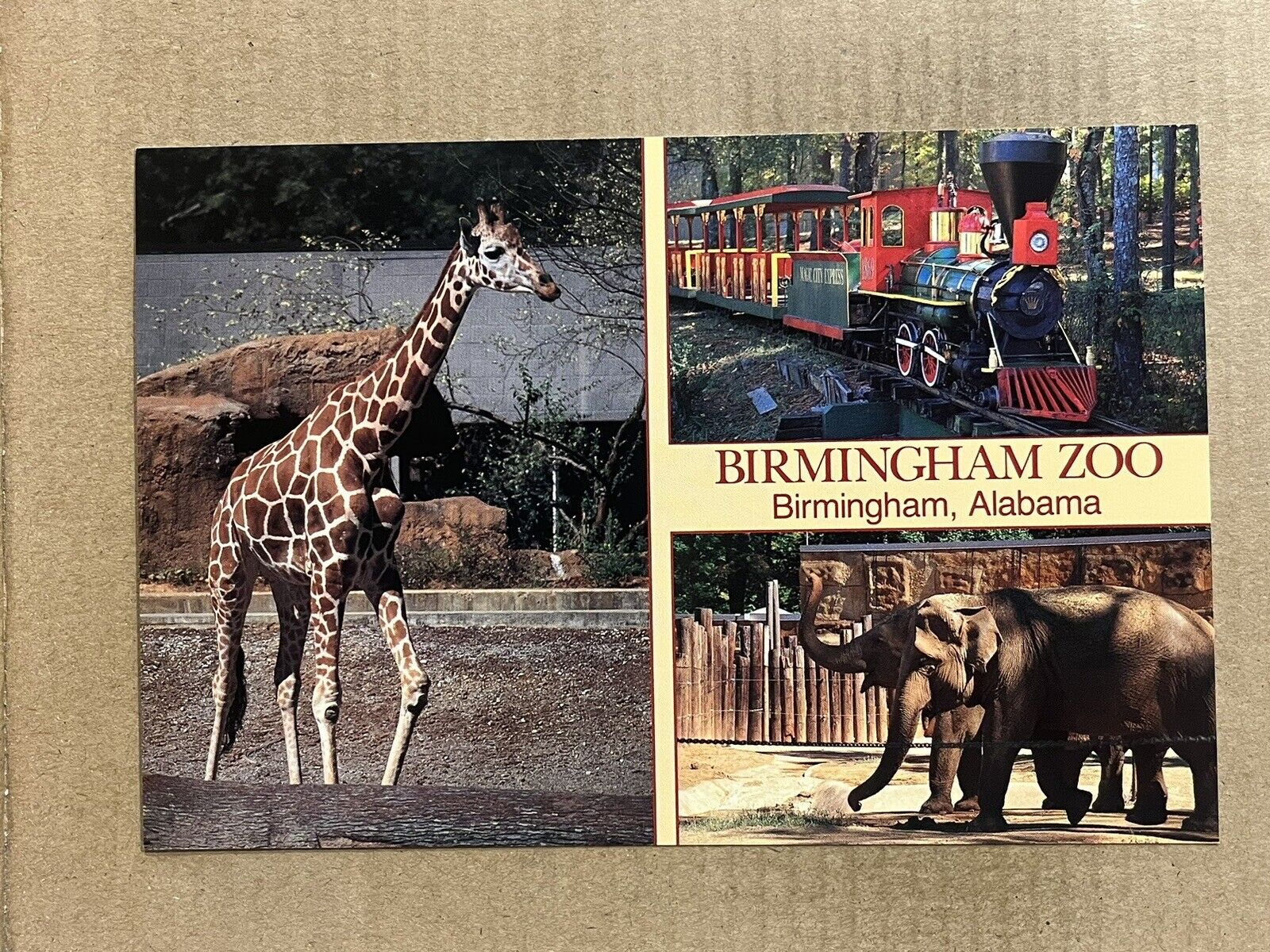 Postcard Birmingham AL Alabama Zoo Train Railroad Giraffe Elephant Vintage PC