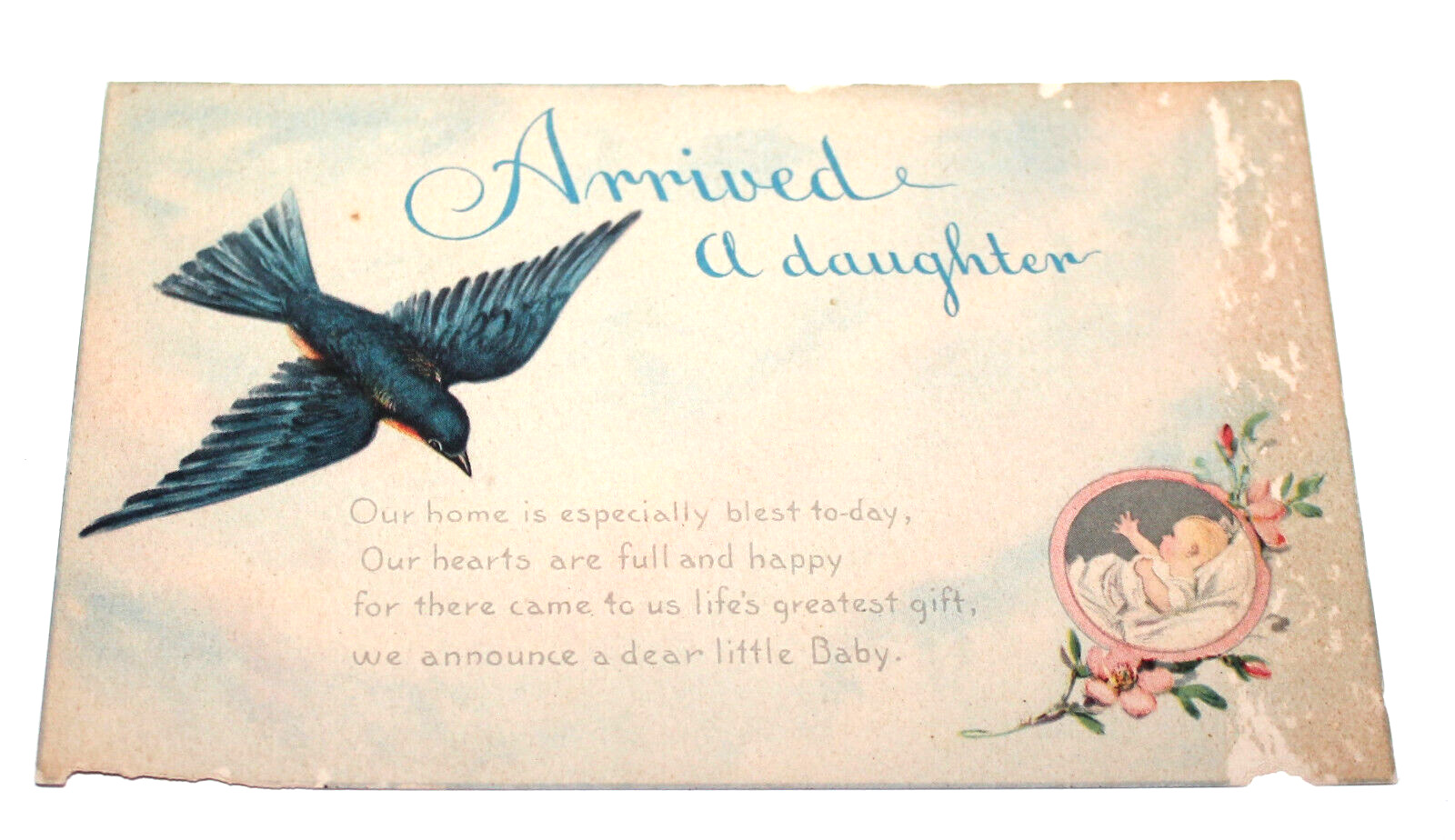 Antique Baby Daughter Announcement Postcard Blue Bird CPA2