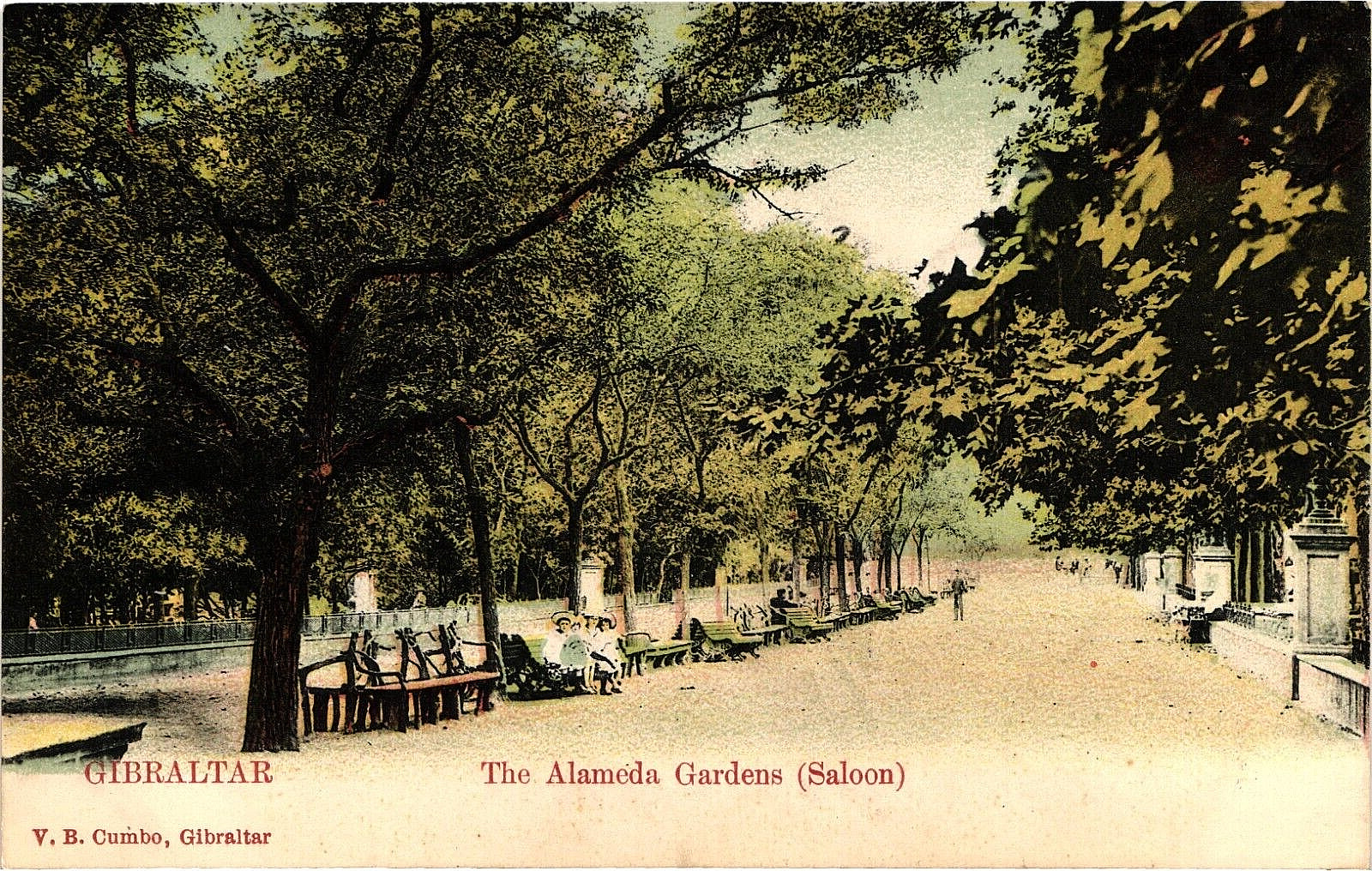 Gibraltar The Alameda Gardens Undivided Antique Postcard Tinted Collotype