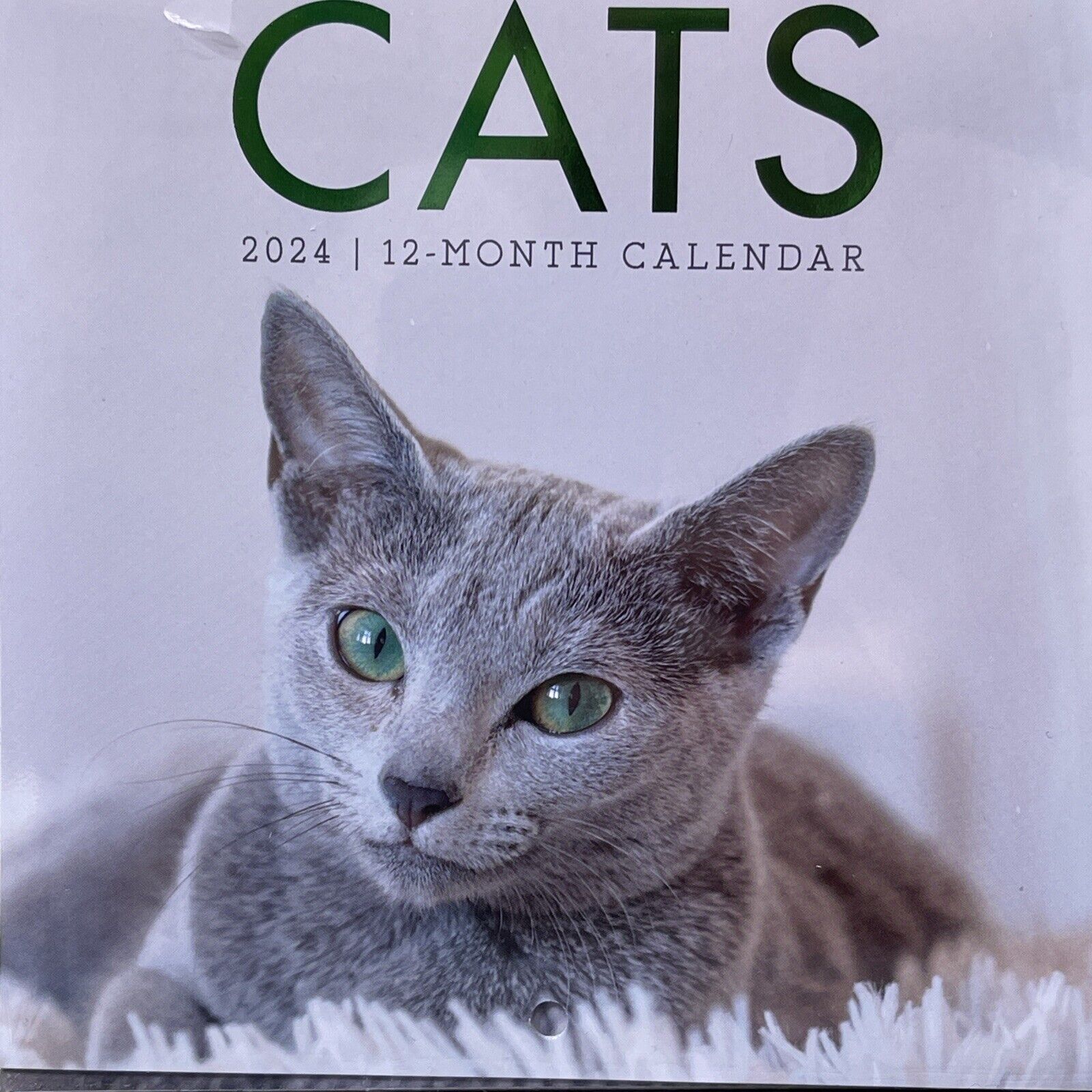 2024 Kittens Cats 12 Month Wall Calendars 2 pack 12\