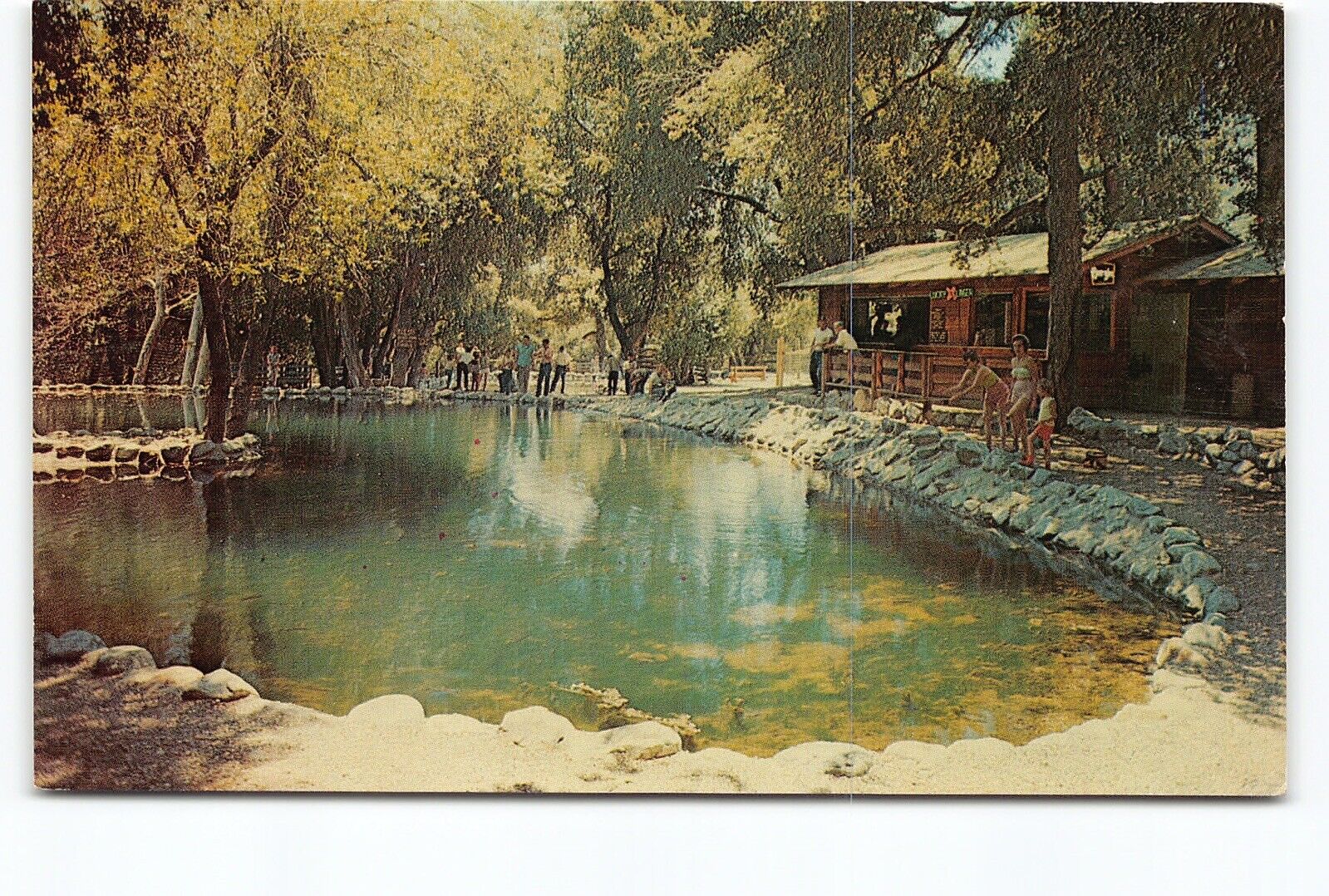 Mt Baldy Trout Ponds California CA Chrome Postcard Vtg Unposted