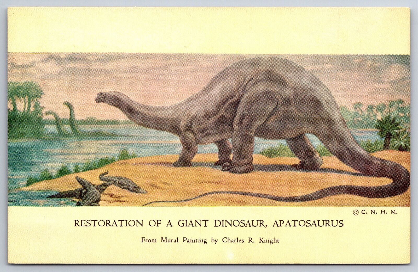 Dinosaur~Restoration Of A Giant Apatosaurus Mural Painting~Vintage Postcard