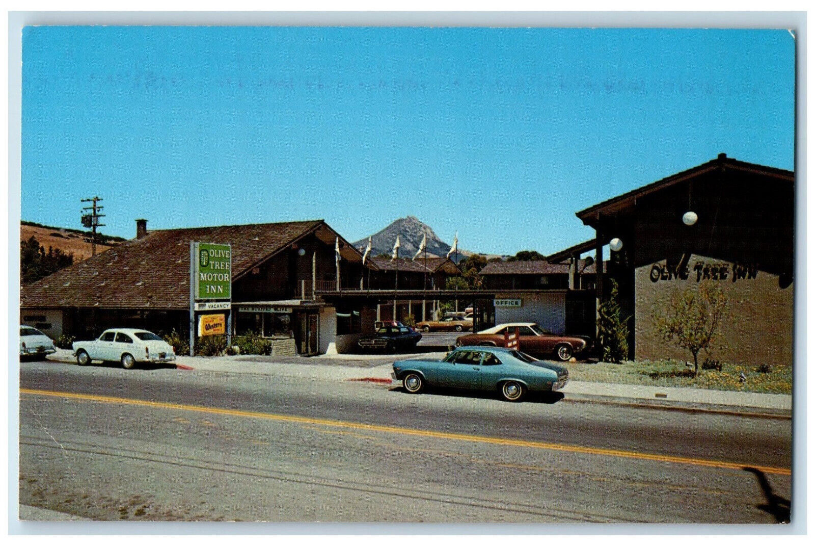 c1960\'s Olive Tree Inn San Luis Obispo California CA Vintage Unposted Postcard