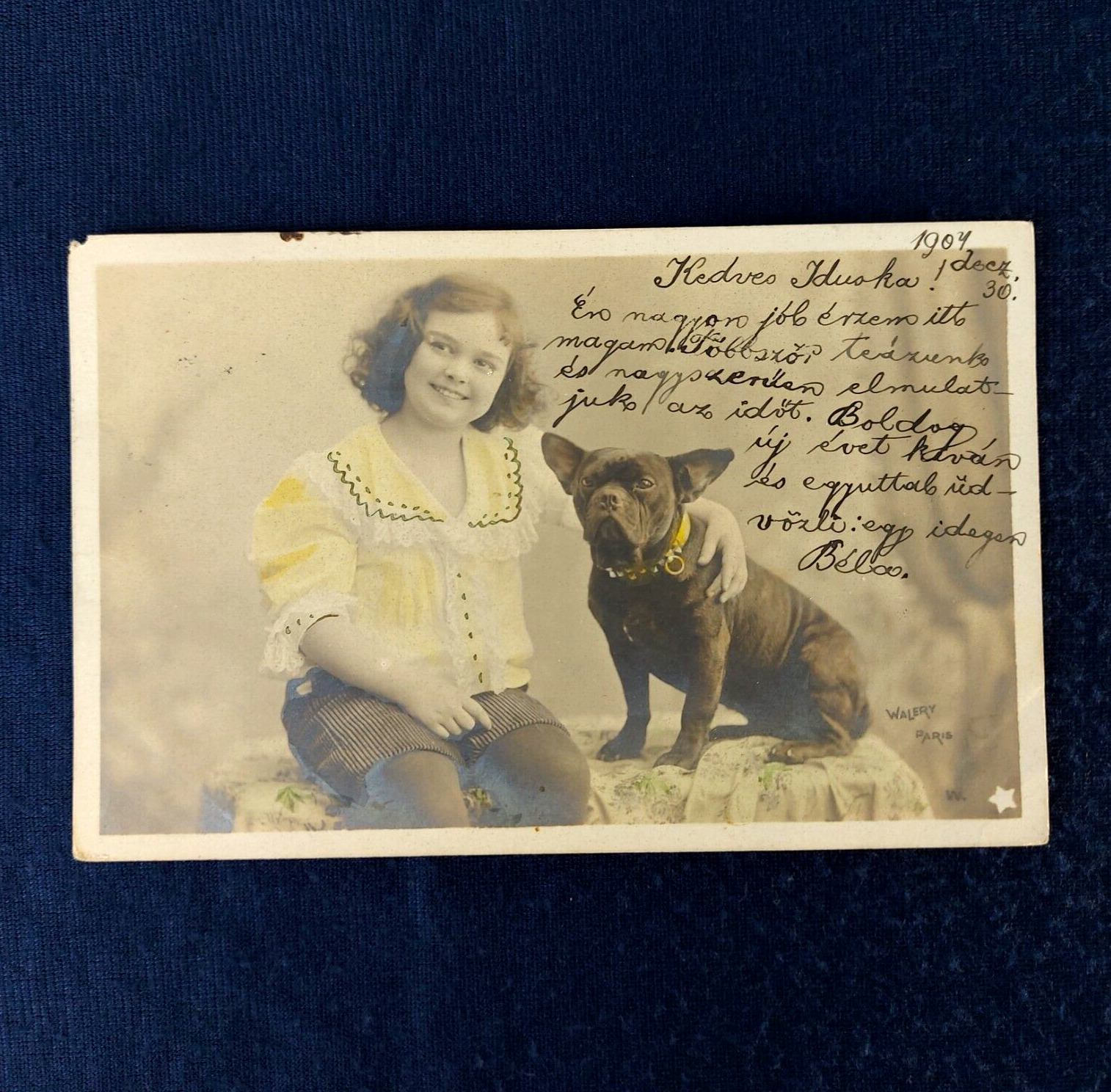 Girl With French Bulldog Antique Dog Photo Postcard Undivided Walery Paris 1904