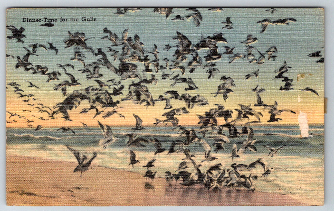 1920s Dinner Time Seagulls Beach Surf Scenes Vintage Postcard Made in USA