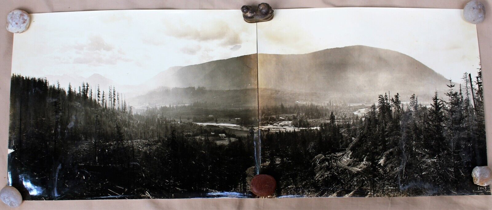 Original Large Scale 2 Pt. Darius Kinsey Photo W. WA Mountain Valley c. 1905 