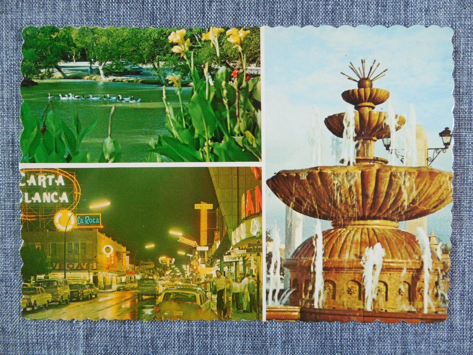 Nuevo Laredo Mexico Vintage Postcard Unposted Night View Parque Viveros Fountain