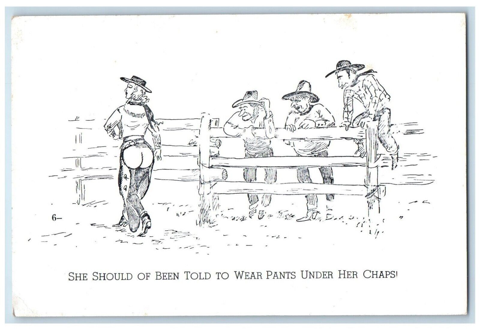 Women Wear Pants Under Her Chaps Cowboys Fence Humor Funny Vintage Postcard