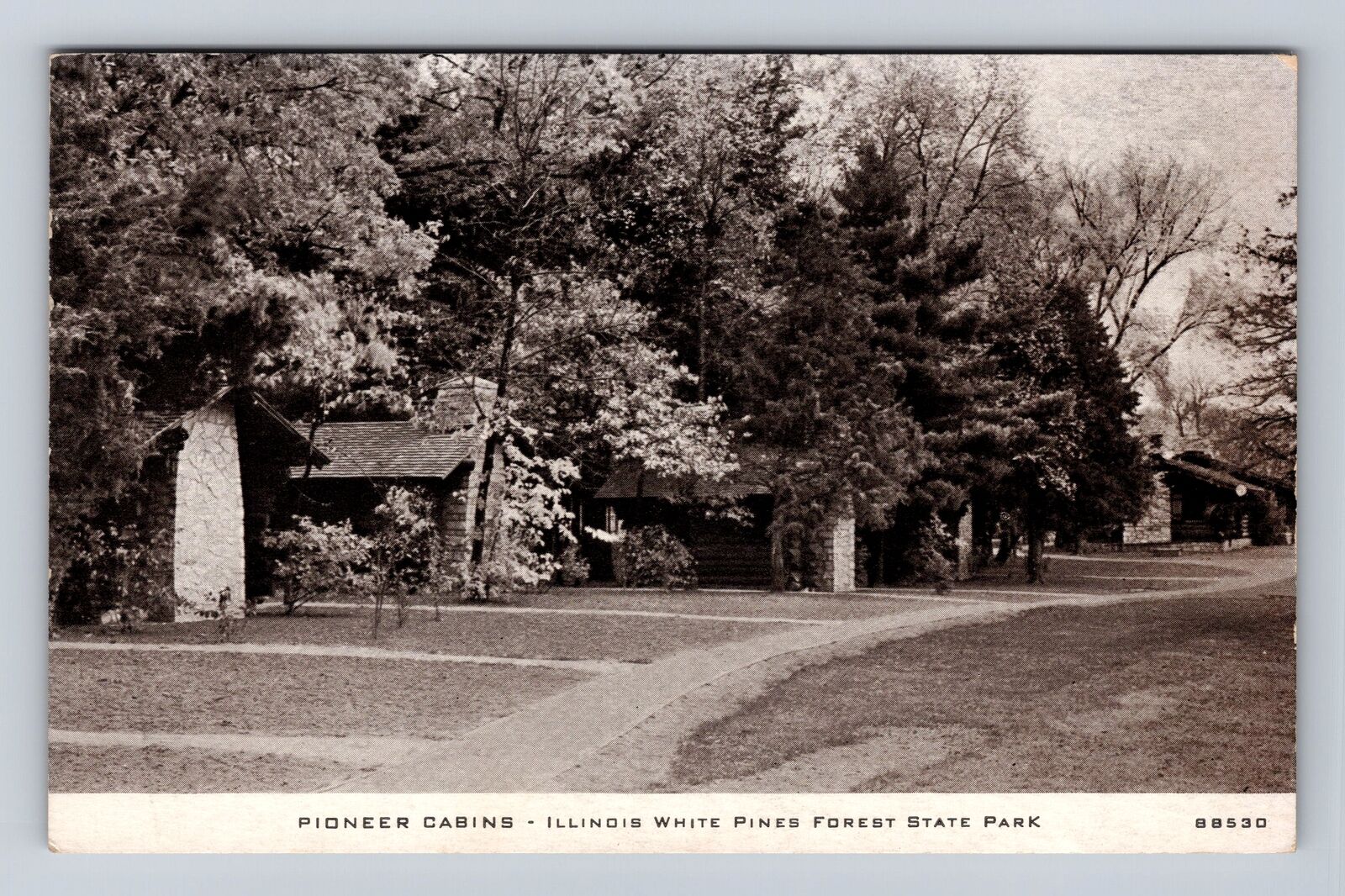 Ogle County IL-Illinois, Pioneer Cabins, Antique, Vintage Souvenir Postcard