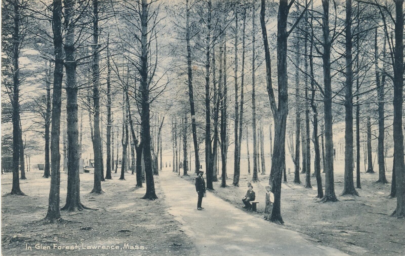 LAWRENCE MA - In Glen Forest Rotograph Postcard - udb - mailed 1908