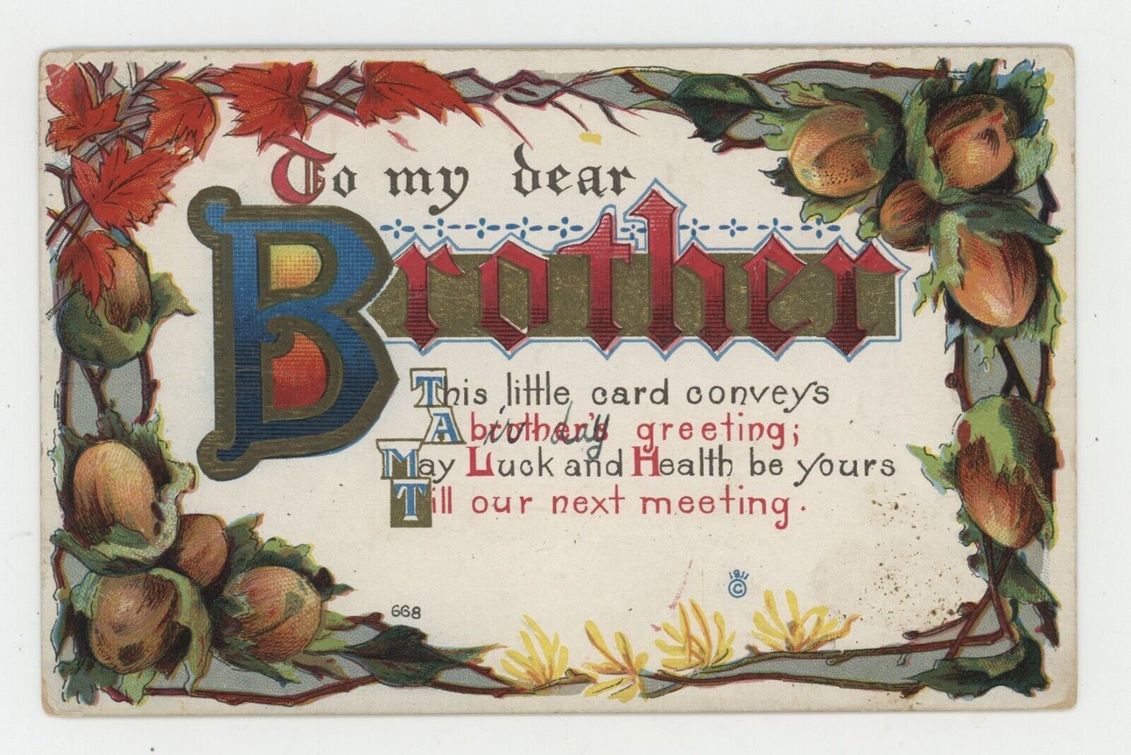 Vintage Postcard FAMILY NAMES TO MY DEAR BROTHER EMBOSSED UNPOSTED