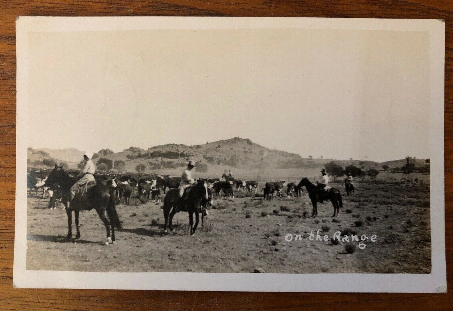 RPPC Marfa Texas c1916 Postcard Cowboys On the Range Old West