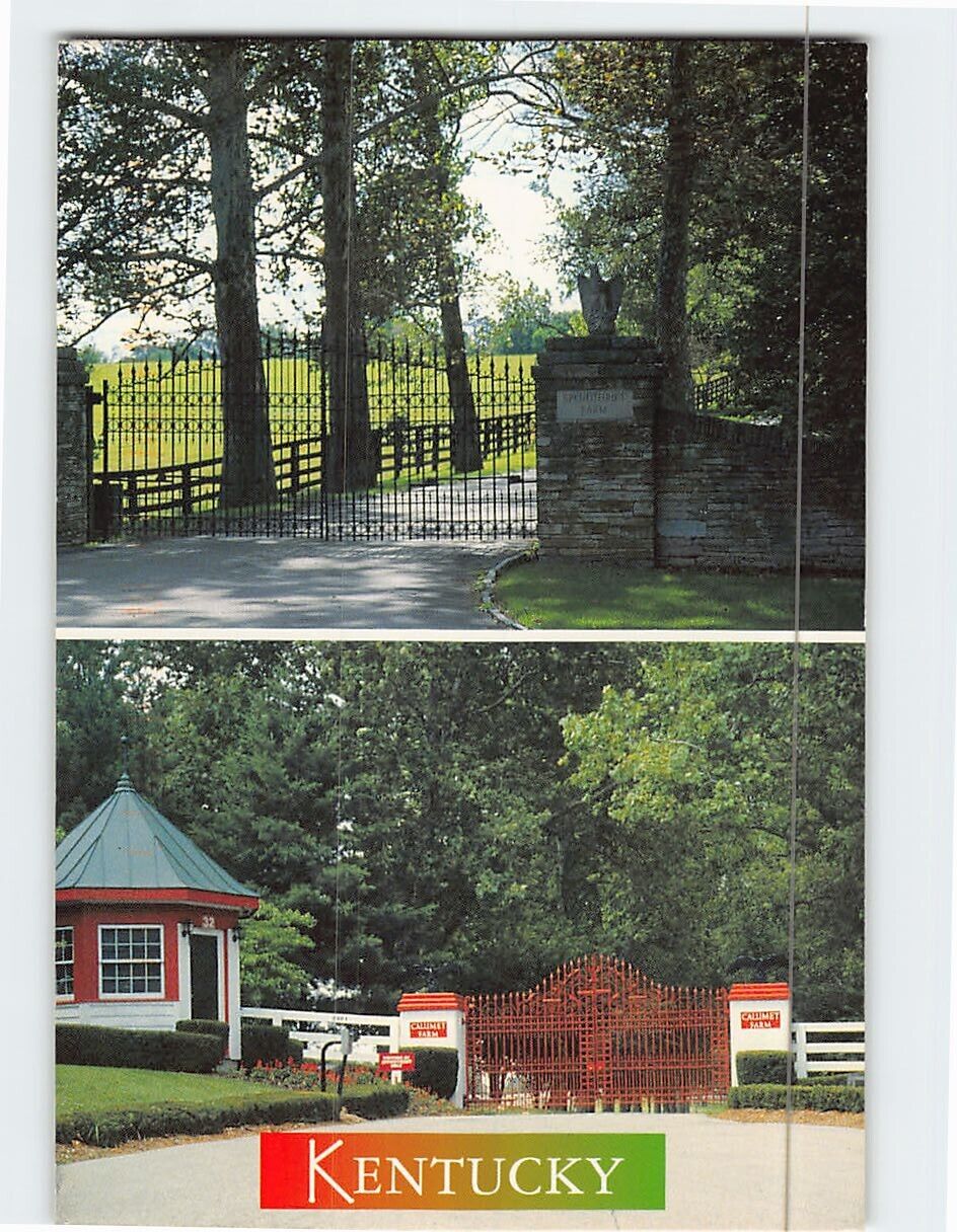 Postcard Kentucky Horse Farms Kentucky USA
