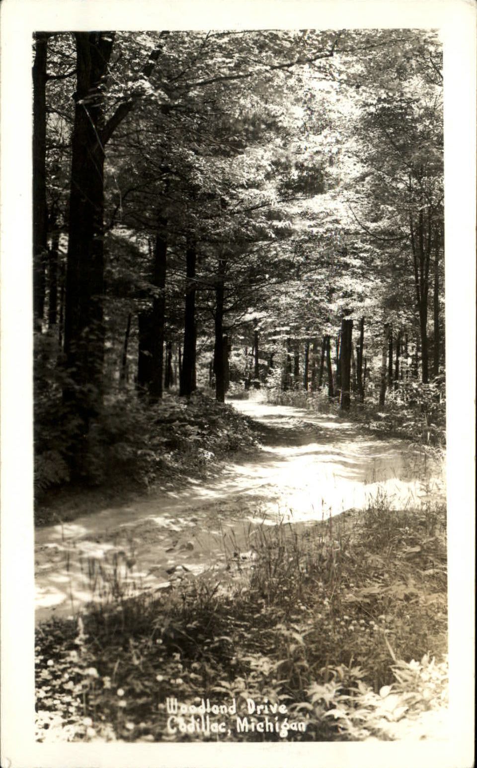 RPPC Cadillac Michigan Woodland Drive 1930-50s real photo postcard
