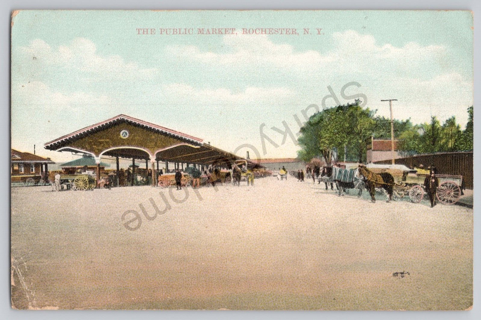 The Public Market, Rochester NY Posted 1908 Postcard Horses