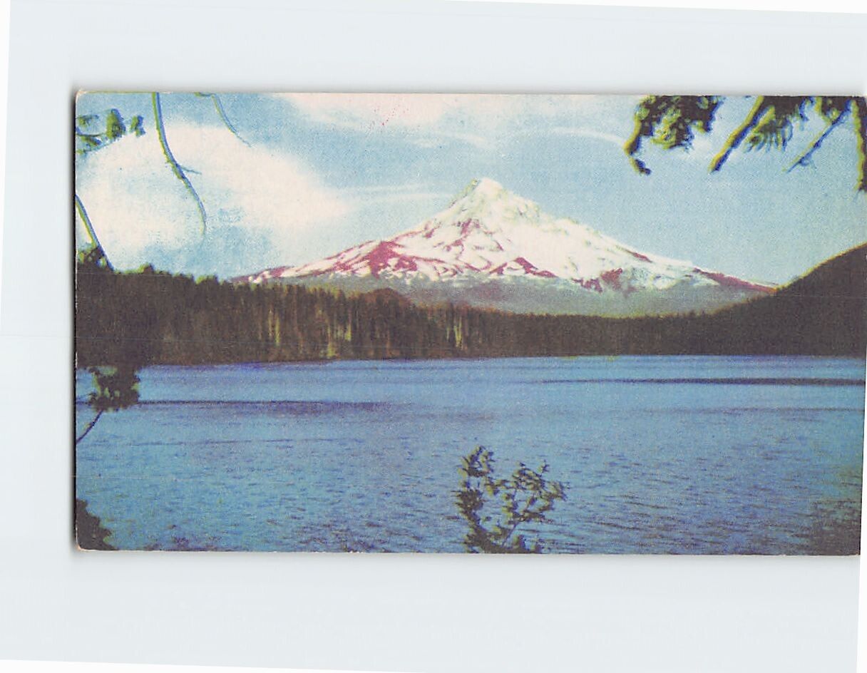 Postcard Mt. Hood Lost Lake Oregon USA