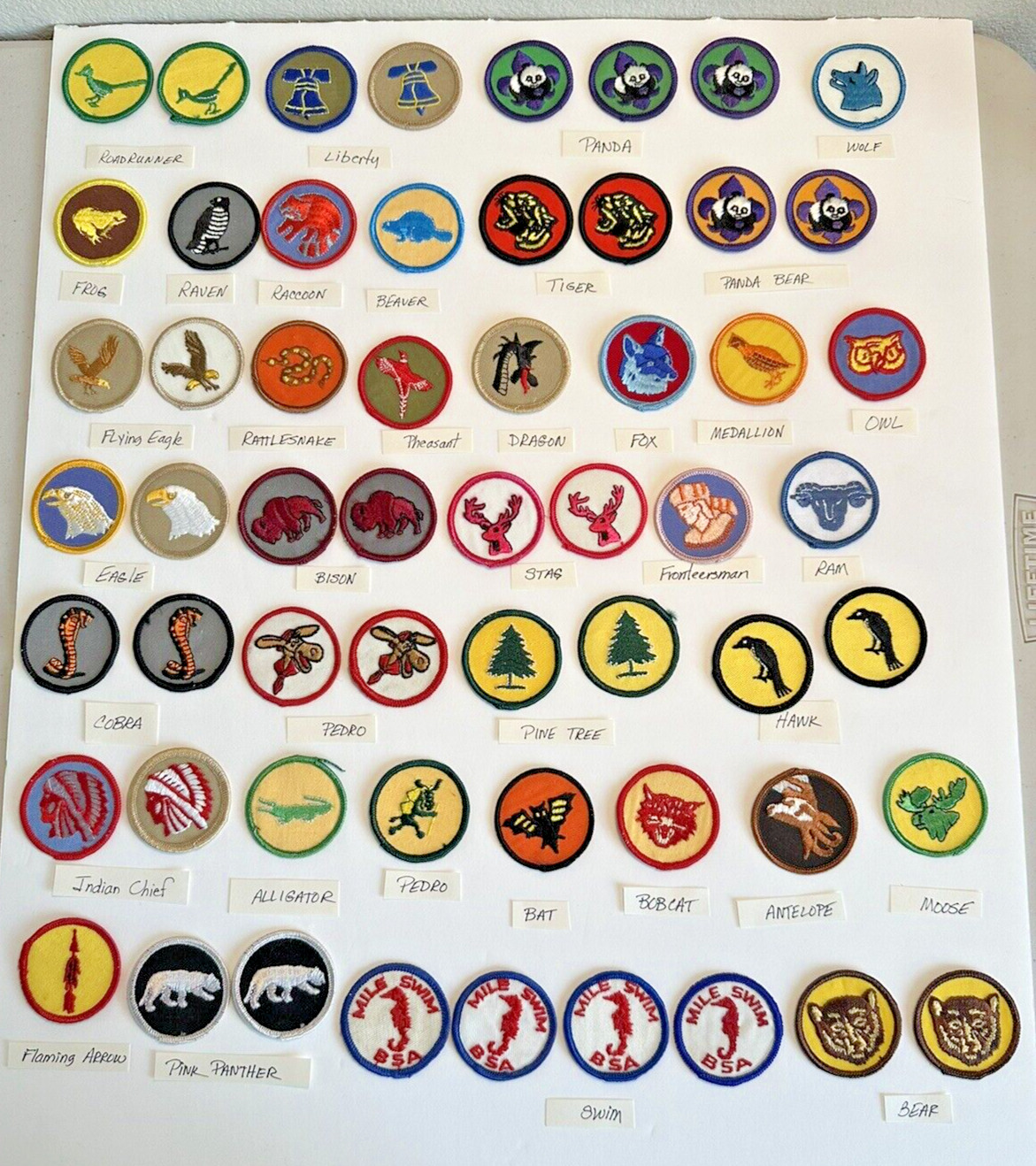 BSA Patrol Patches multi color Assorted Critter Emblems Lot of 57 New/unused