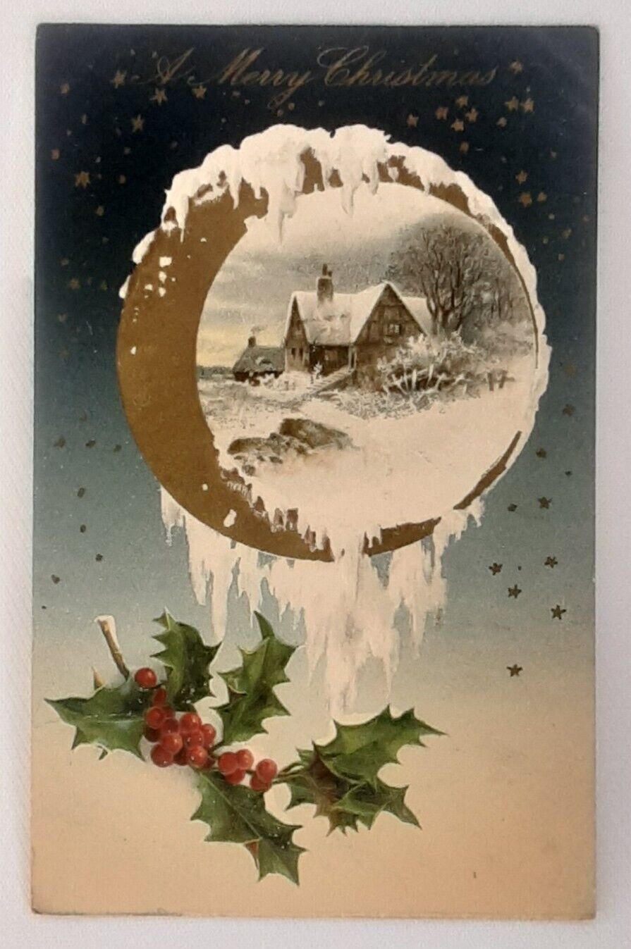 Christmas Post Card John Winsch Embossed Holly and Berries Icy Countryside