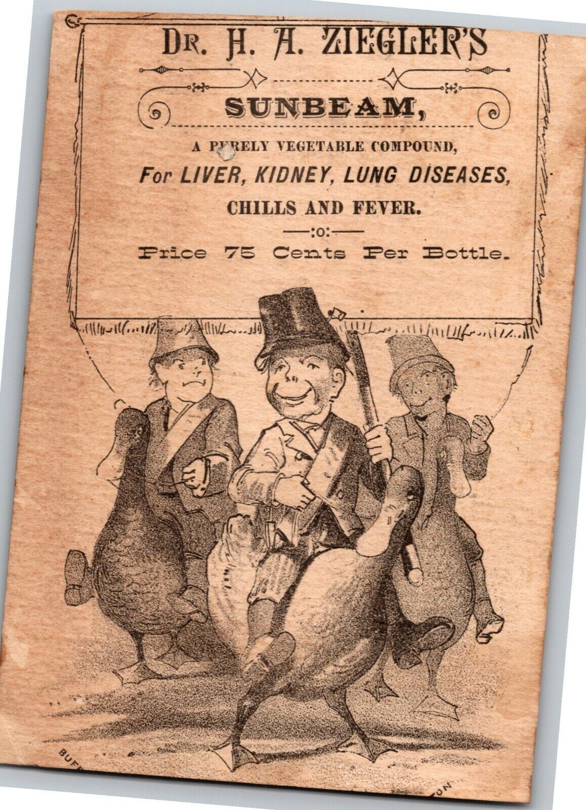 Scarce Dr. H. A. Ziegler\'s Sunbeam Compound York, PA Victorian Trade Card DUCK