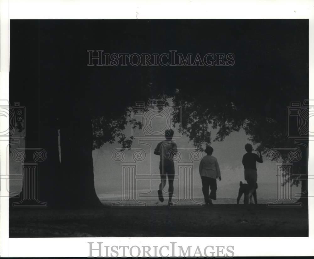 1982 Press Photo Early morning joggers in the fine mist of fog at Audubon Park