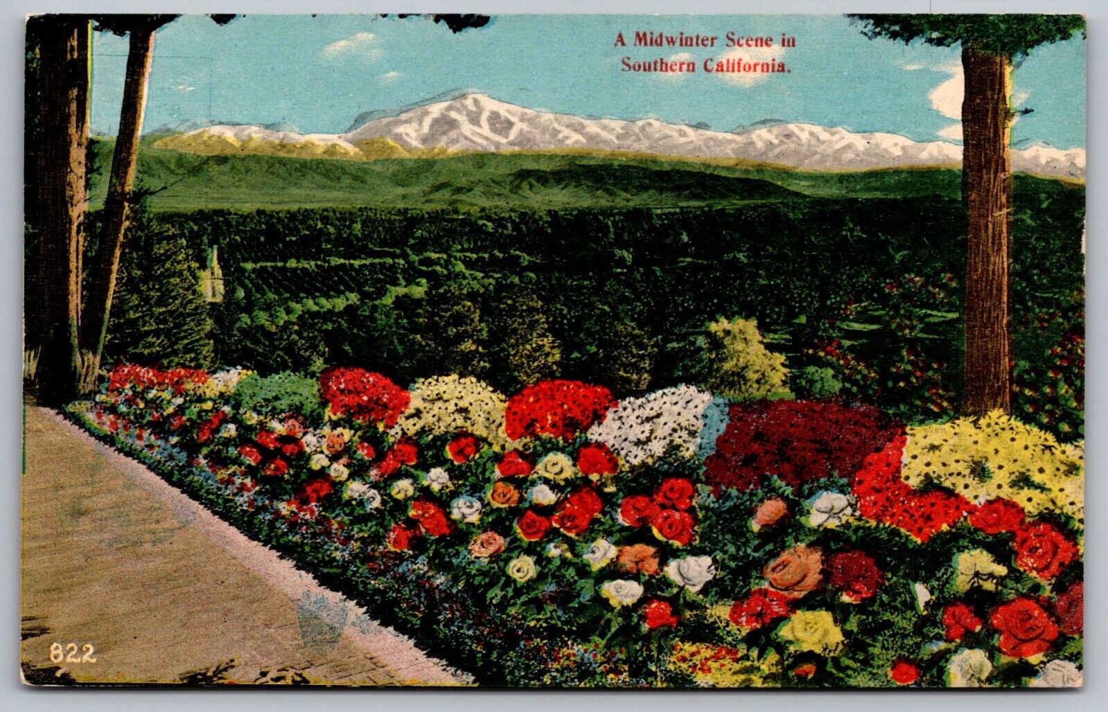 California Southern Midwinter Snowcapped Mountains Forest Flowers VTG Postcard