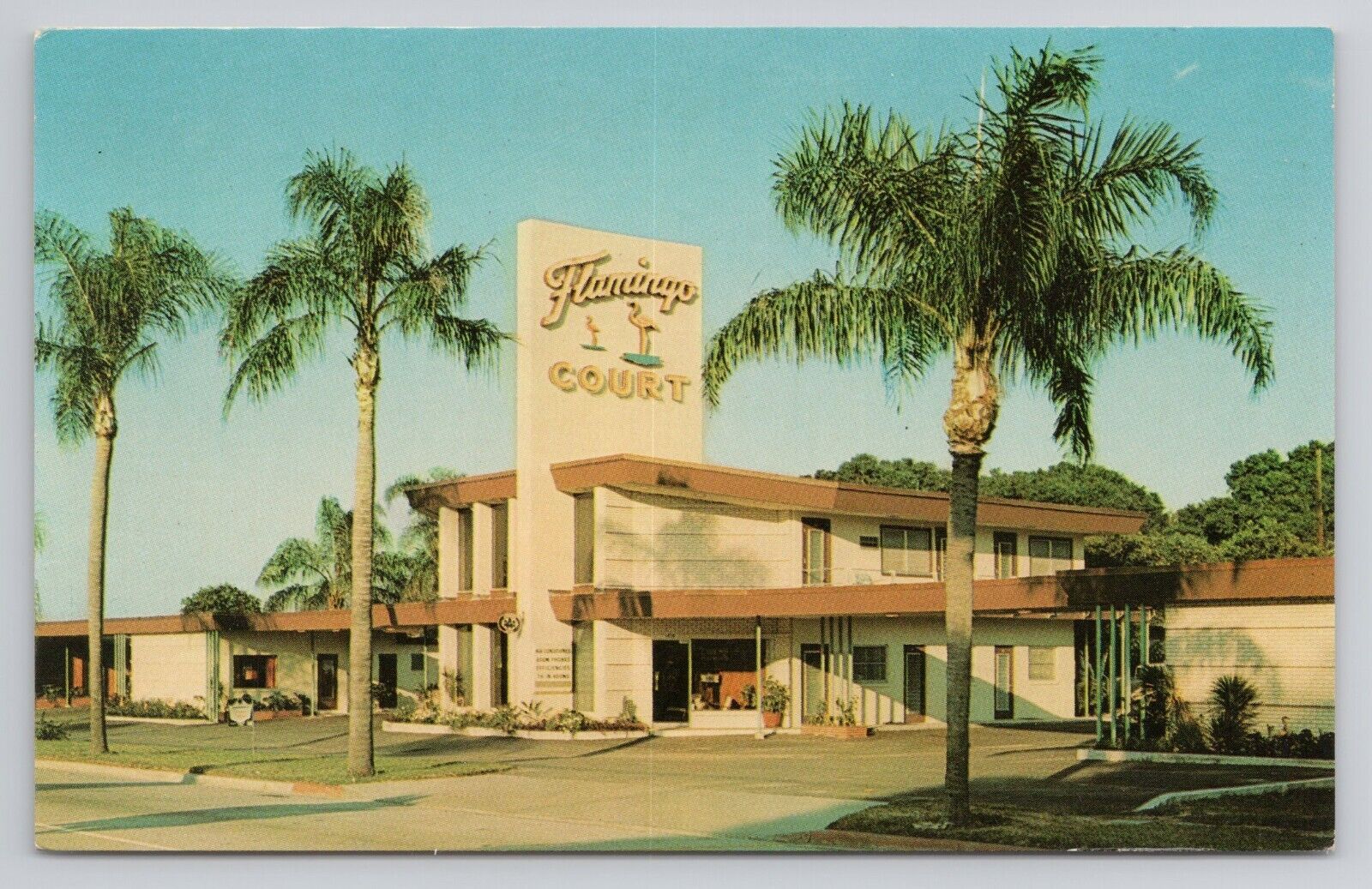 Postcard Flamingo Court Orlando Florida