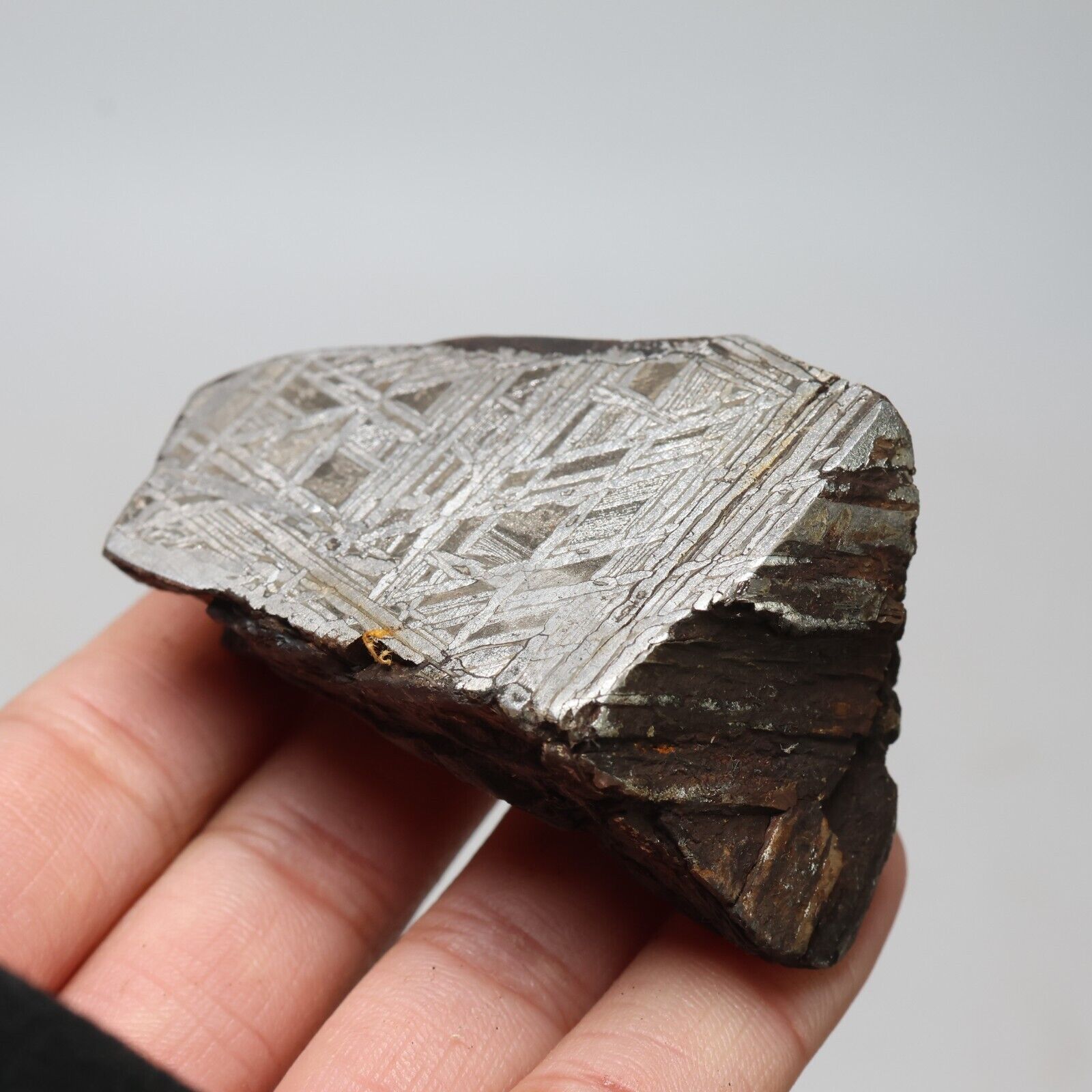 181g Muonionalusta meteorite part slice  A2080