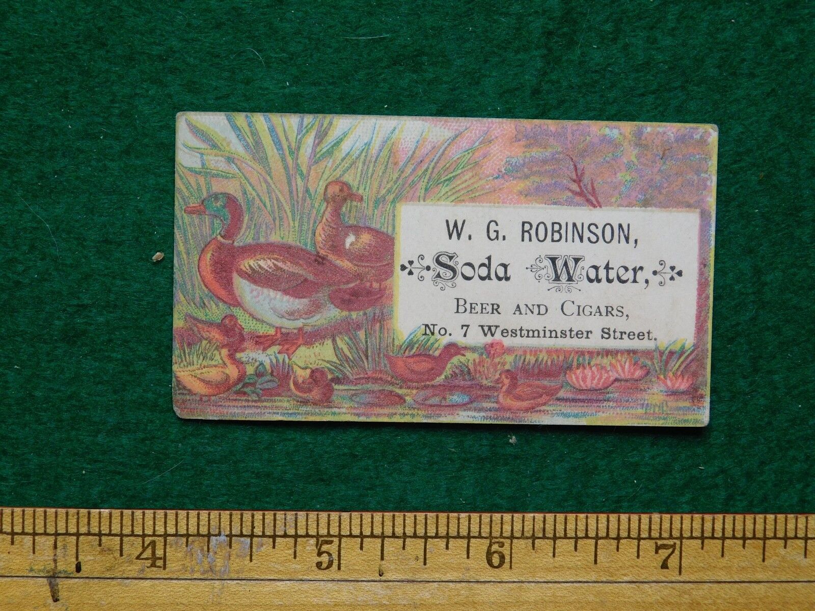 1870s-80s W G Robinson Soda Water Beer & Cigars Ducks Victorian Trade Card F15