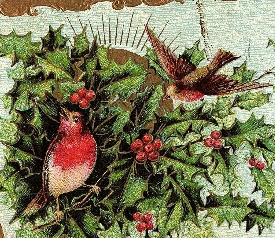 1907-15 A Merry Christmas Holly Berries Postcard Song Birds Vtg Embossed Gilt