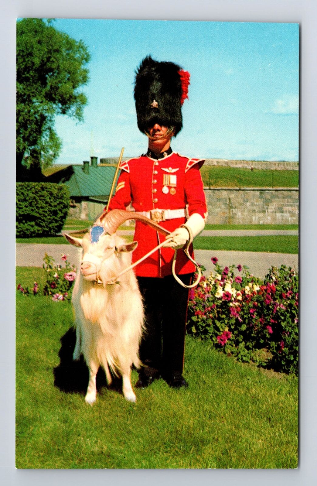 Montreal-Quebec, Corporal in Charge of Baptiste the Mascot, Vintage PC Postcard