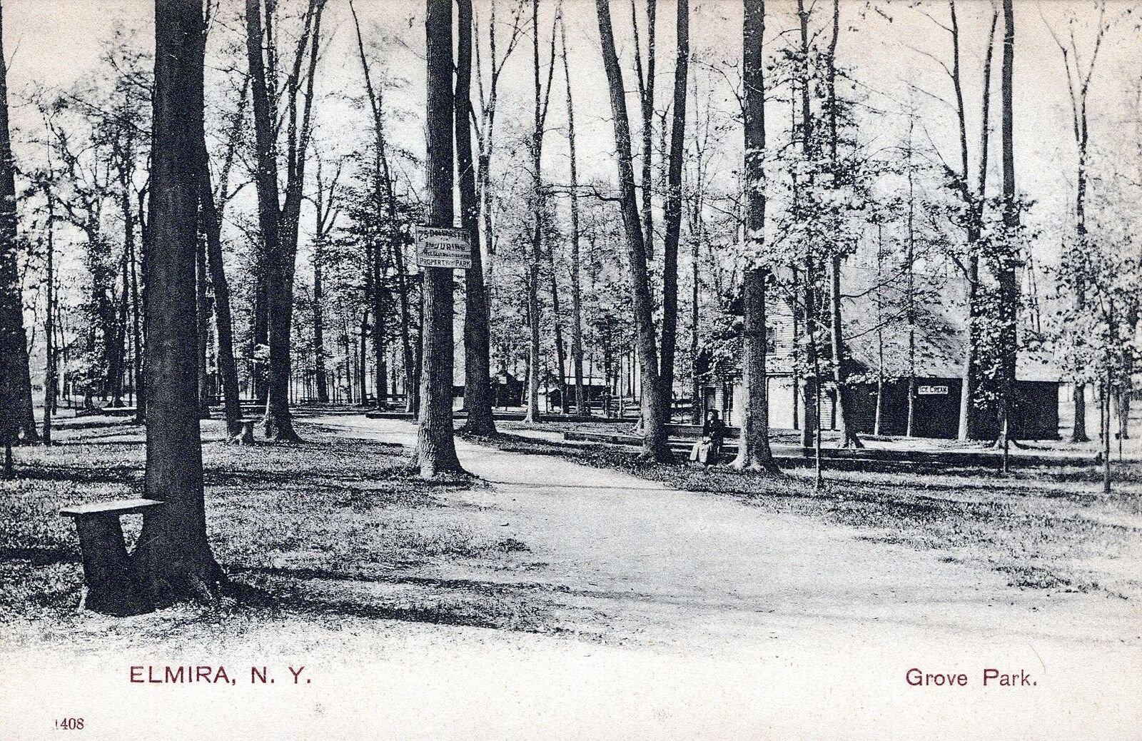 ELMIRA NY - Grove Park Postcard - udb (pre 1908)