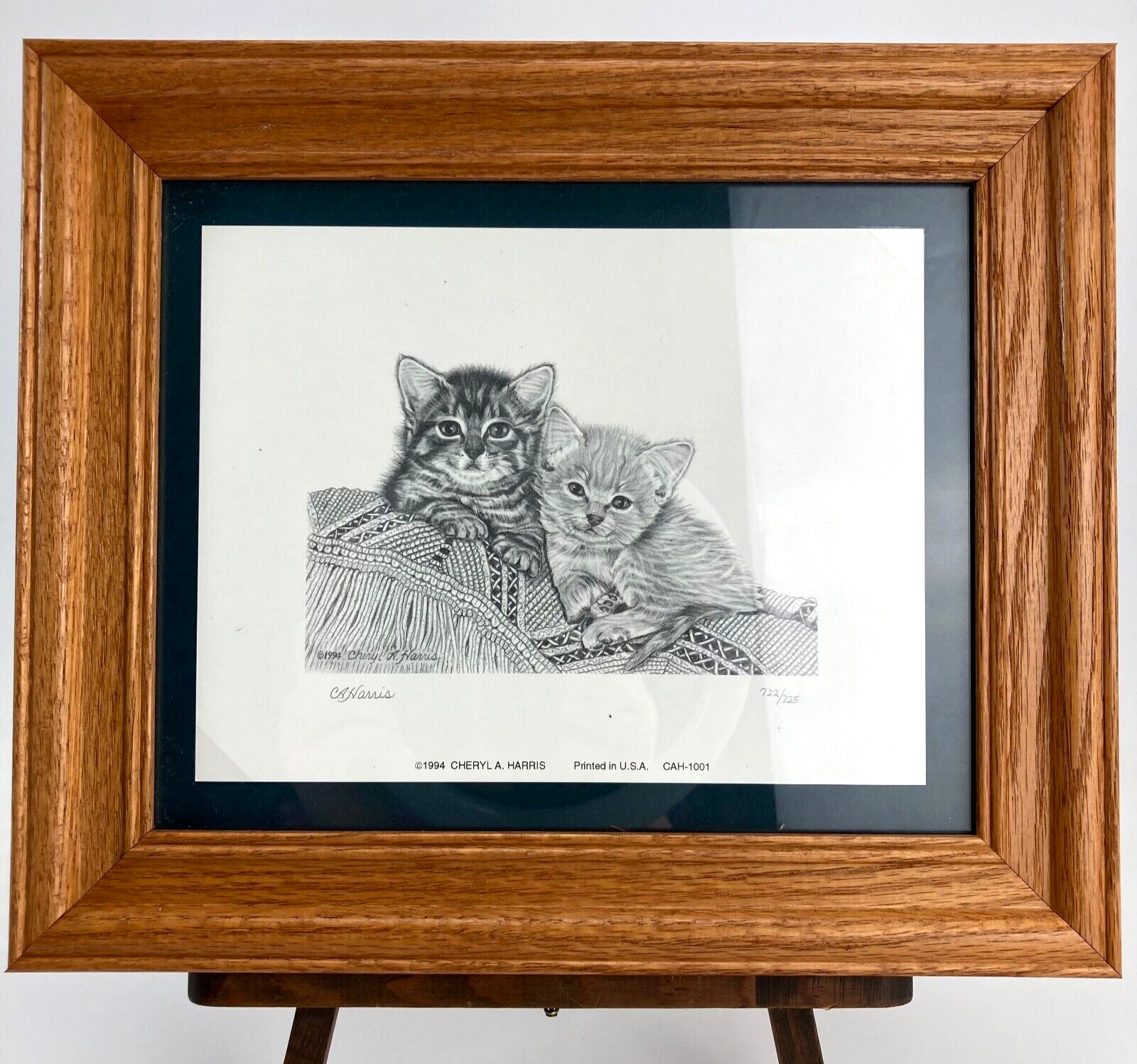 Tabby Cat Kittens Framed Art Drawing Print Artist Cheryl Harris 12.5\