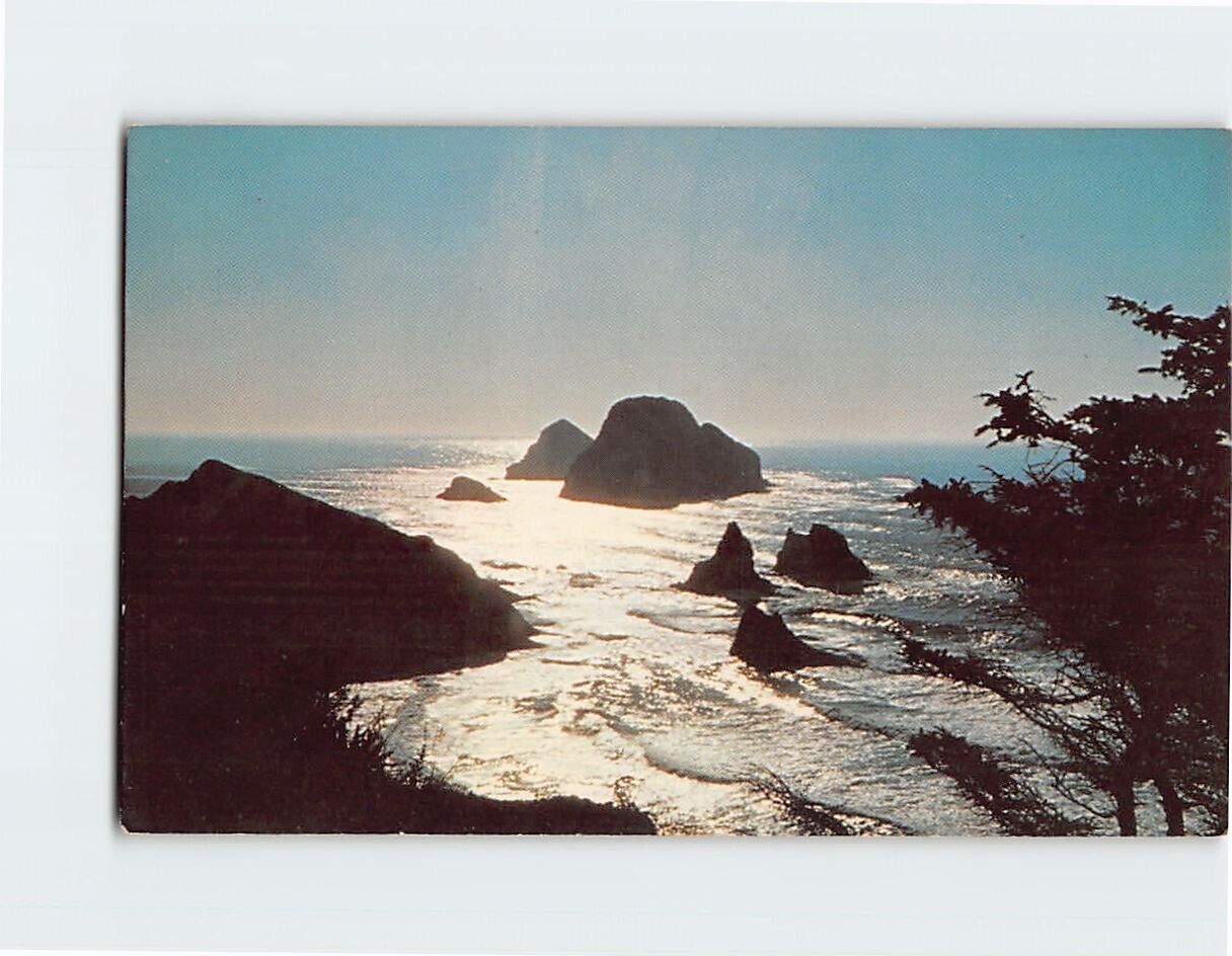 Postcard Moonlight on the Pacific Coast