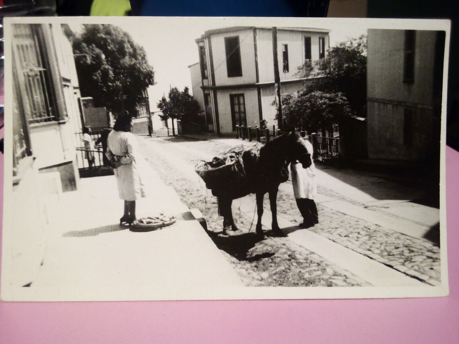RPPC pack horse brick road probably southwest US