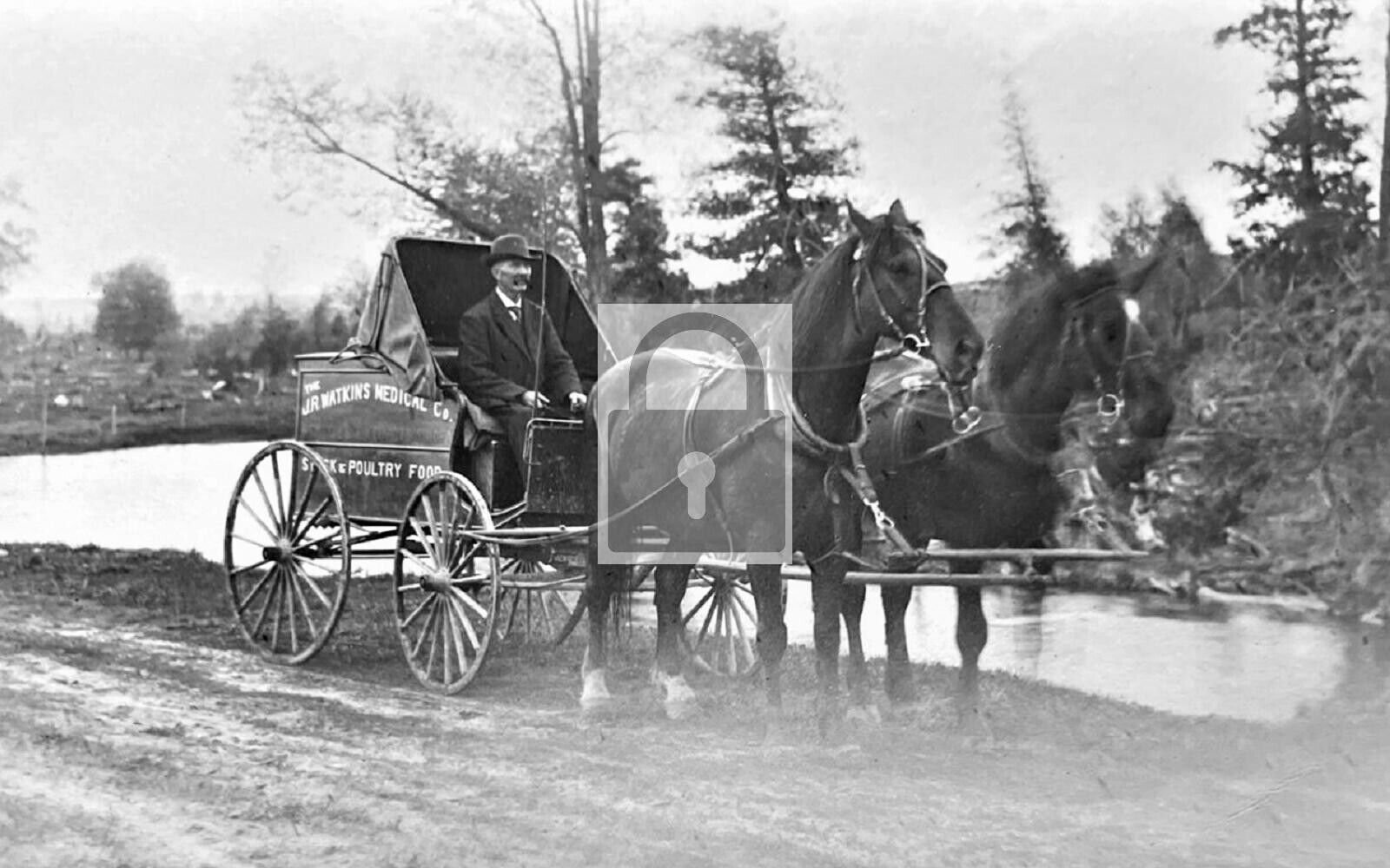 JR Watkins Medical Drug Co Horse Drawn Wagon Reprint Postcard