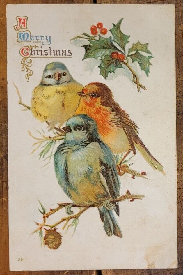 A Merry Christmas - 3 Birds Perched on Twigs - c. 1907-1915 POSTCARD