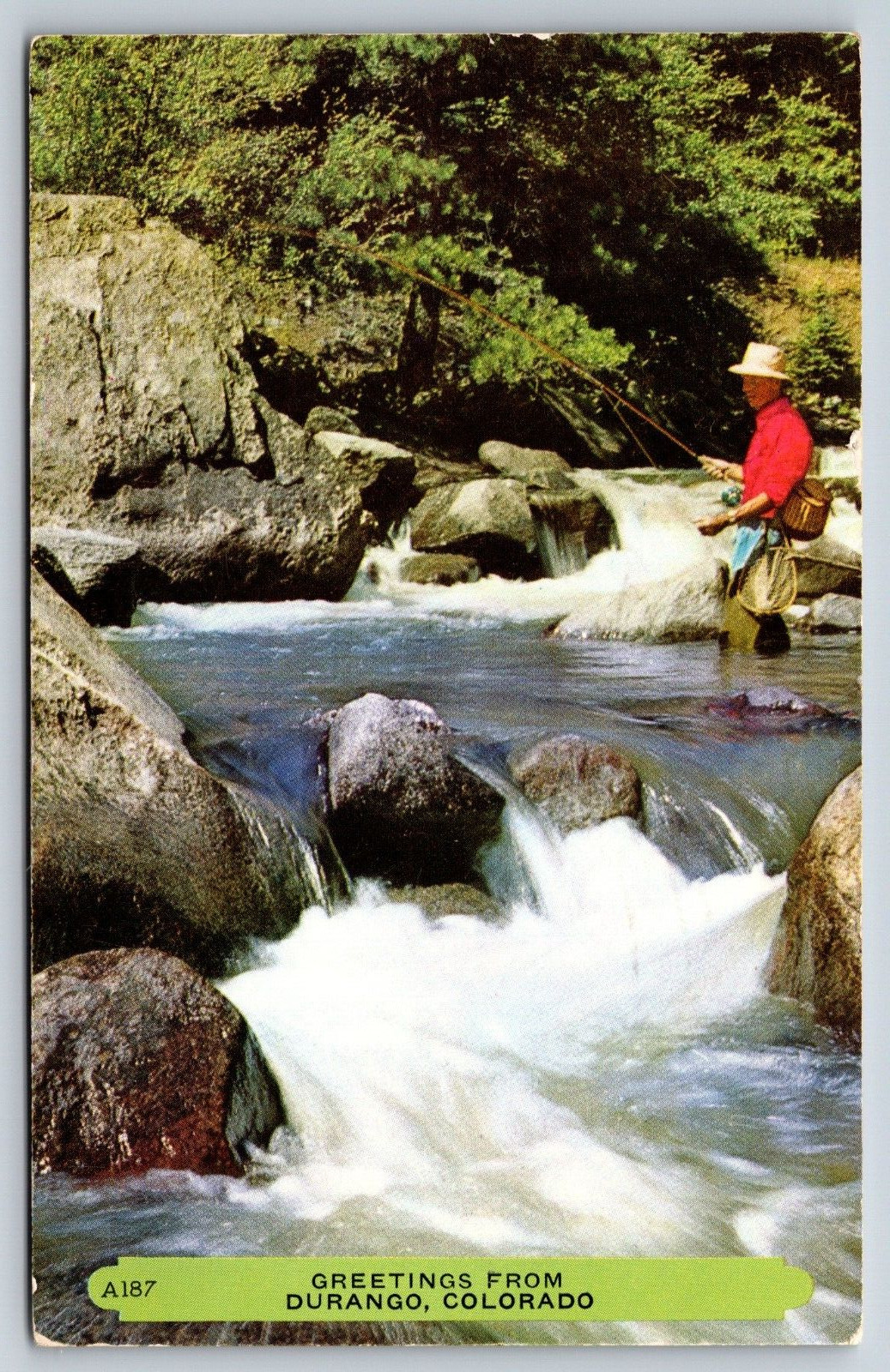 Fly Fishing, Greetings From Durango Colorado Vintage Postcard
