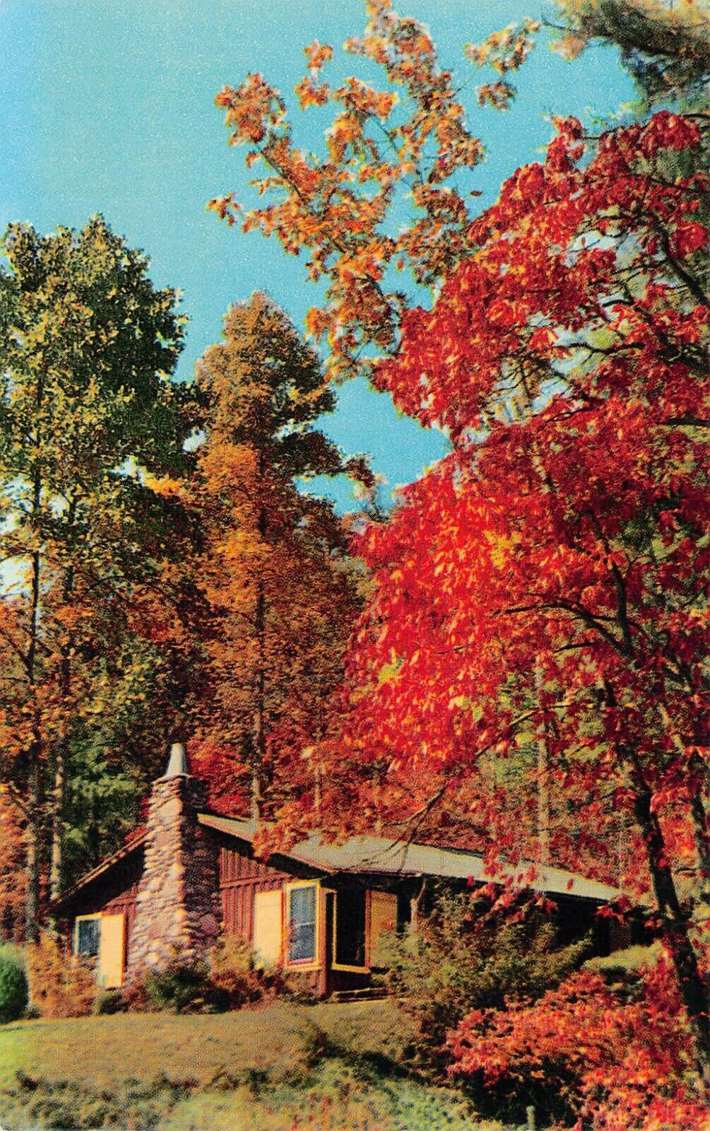 Asheville NC North Carolina Blue Ridge Mountain Rustic Log Cabin Vtg Postcard V7