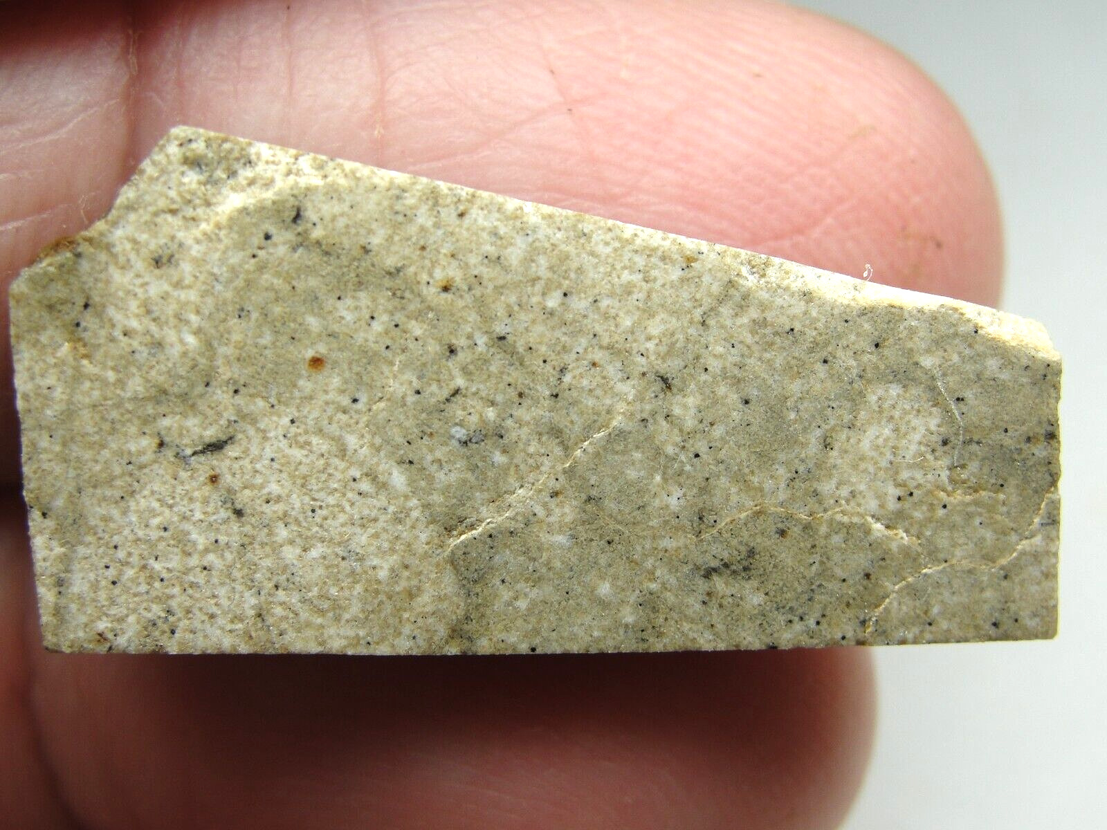 NWA 12338 Achondrite-ung Meteorite - G688-0149 - 4.24g - Rare Meteorite/Special