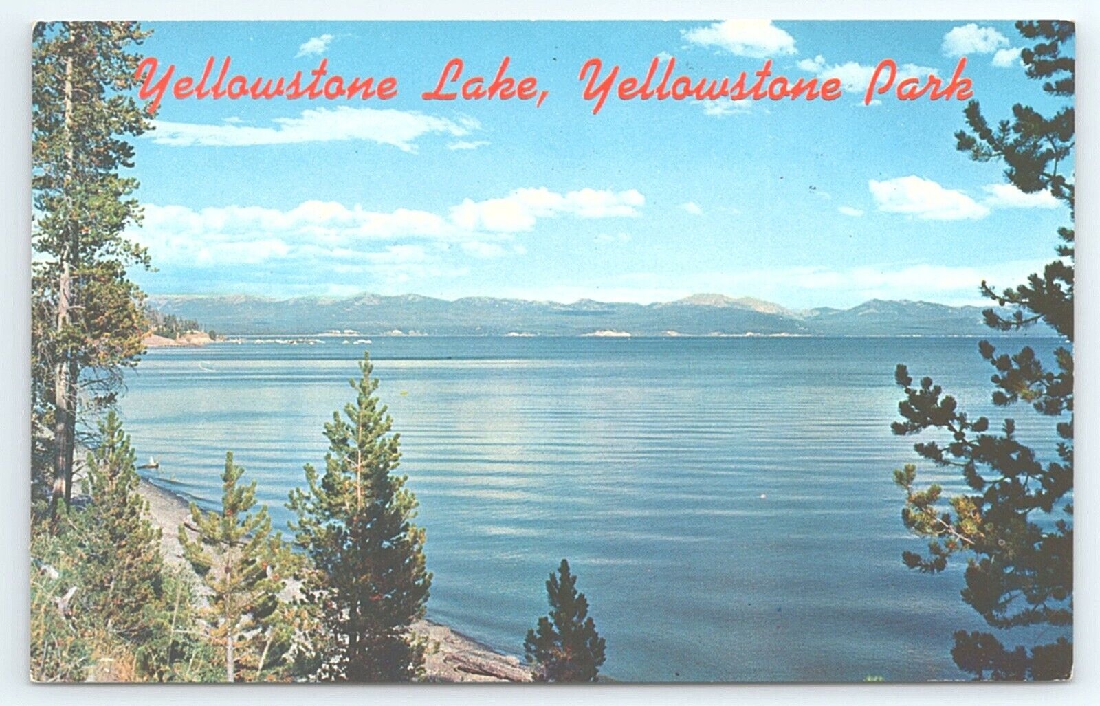 Postcard Yellowstone Lake Yellowstone National Park Montana
