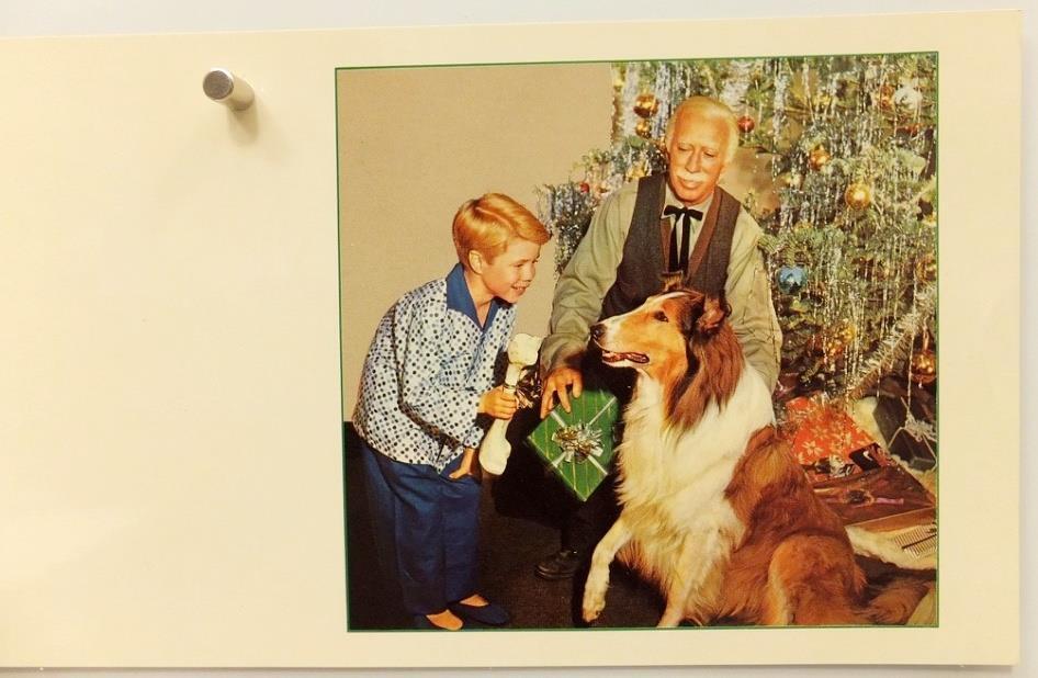 LASSIE CBS TV INDUSTRY CHRISTMAS CARD Jon Provost 50s ADVERTISING PREMIUM Collie