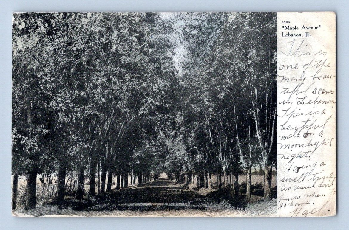 1907. LEBANON, ILL. MAPLE AVE. POSTCARD DM8