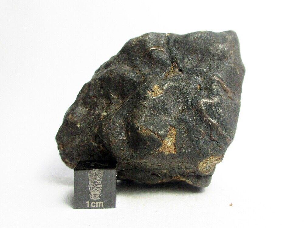 NWA x Meteorite 143.59g Fabulously Flightmarked Firestone From Space