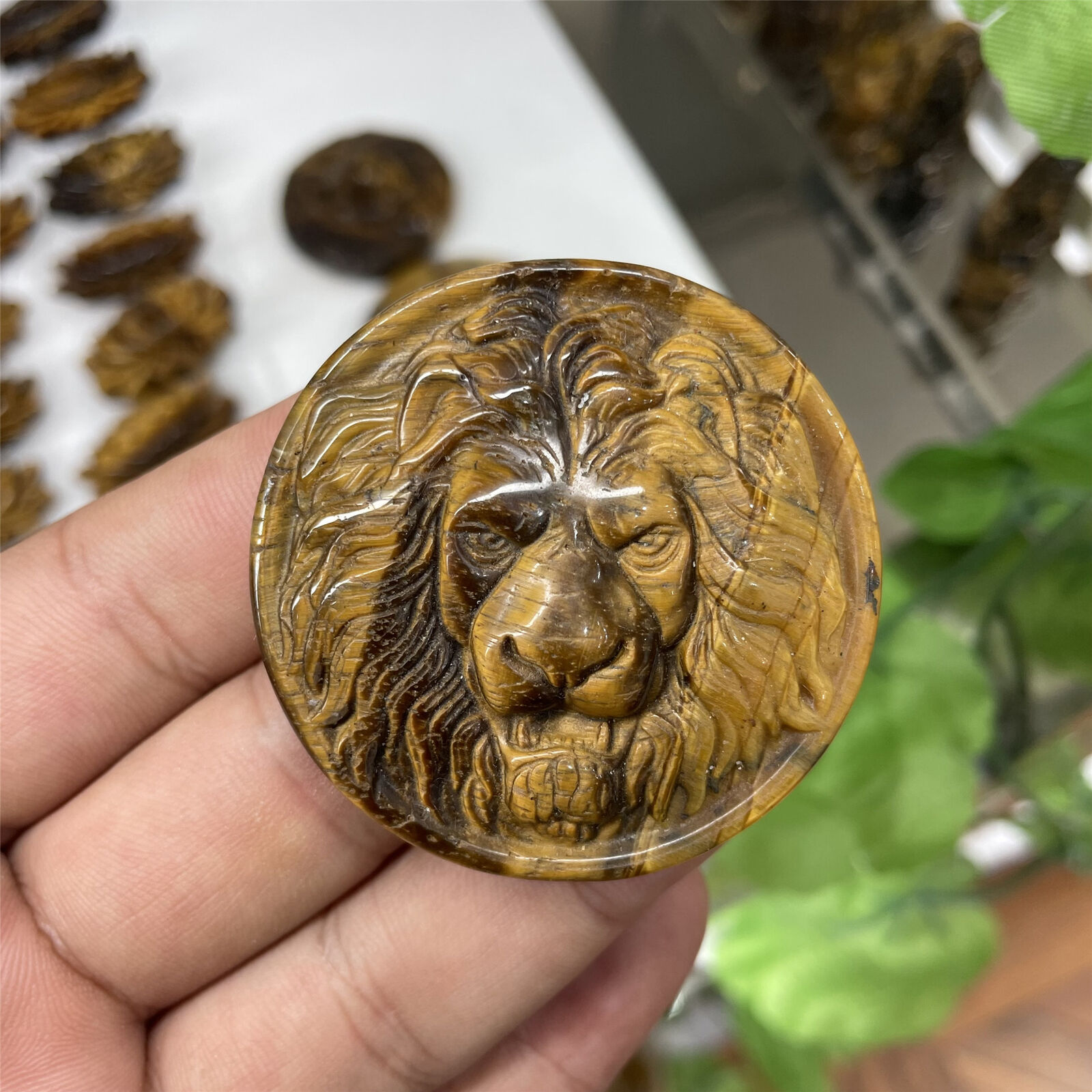 1pc Natural Tiger\'s eye lion Quartz Crystal Carved Skull Reiki Healing care